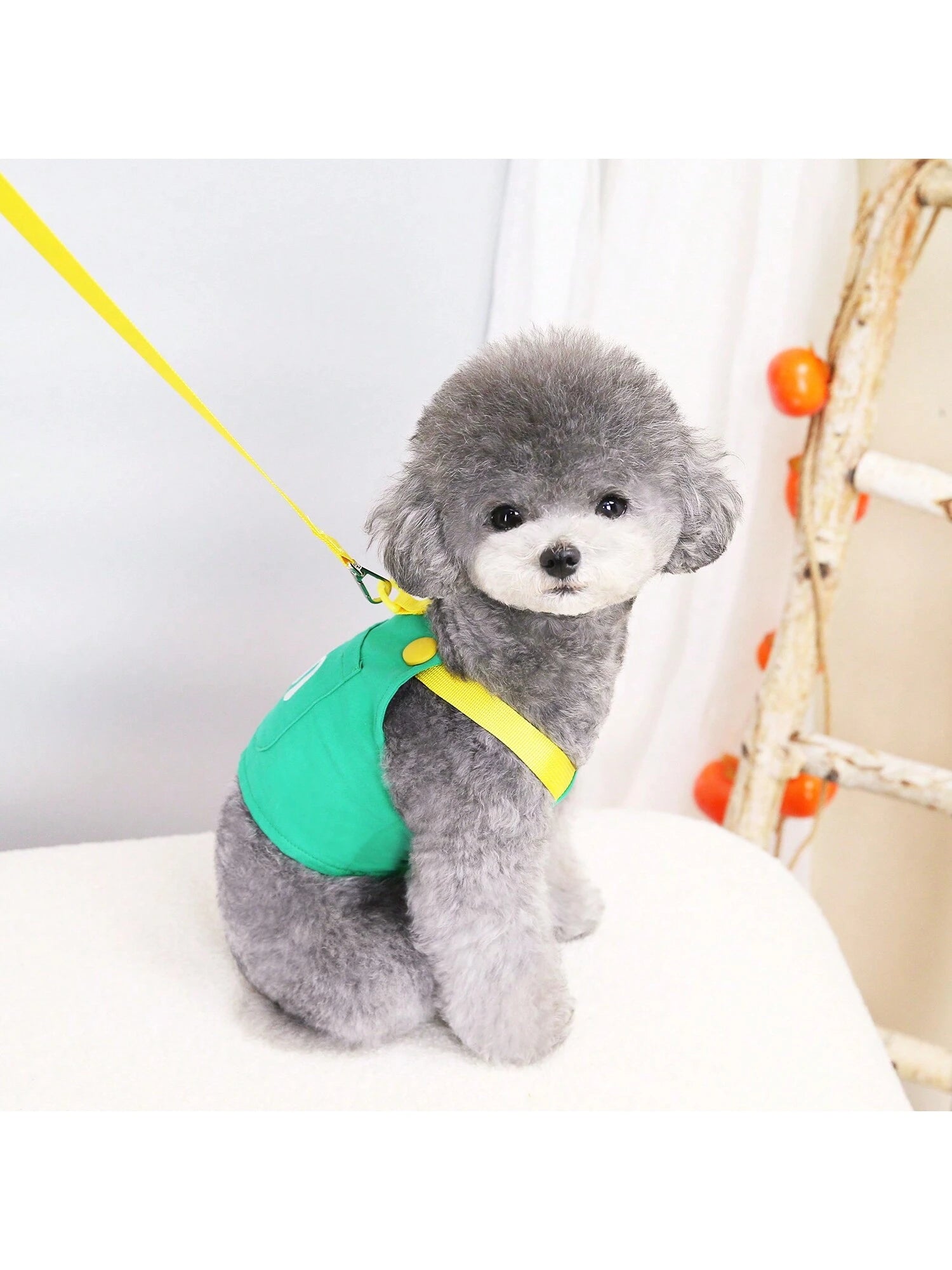 Salopette con Guinzaglio Coordinato