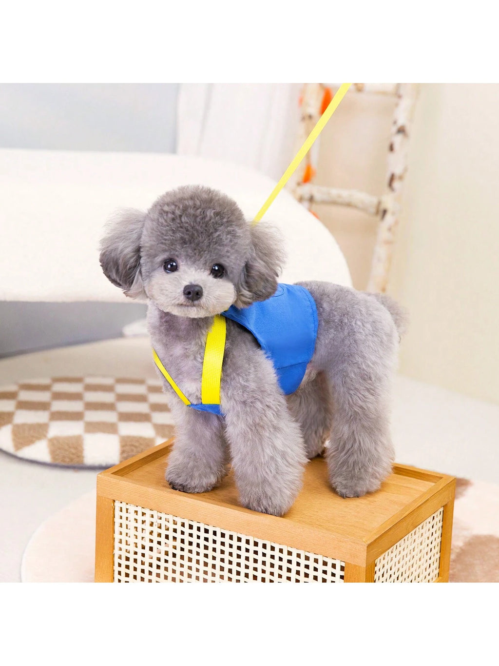 Salopette con Guinzaglio Coordinato