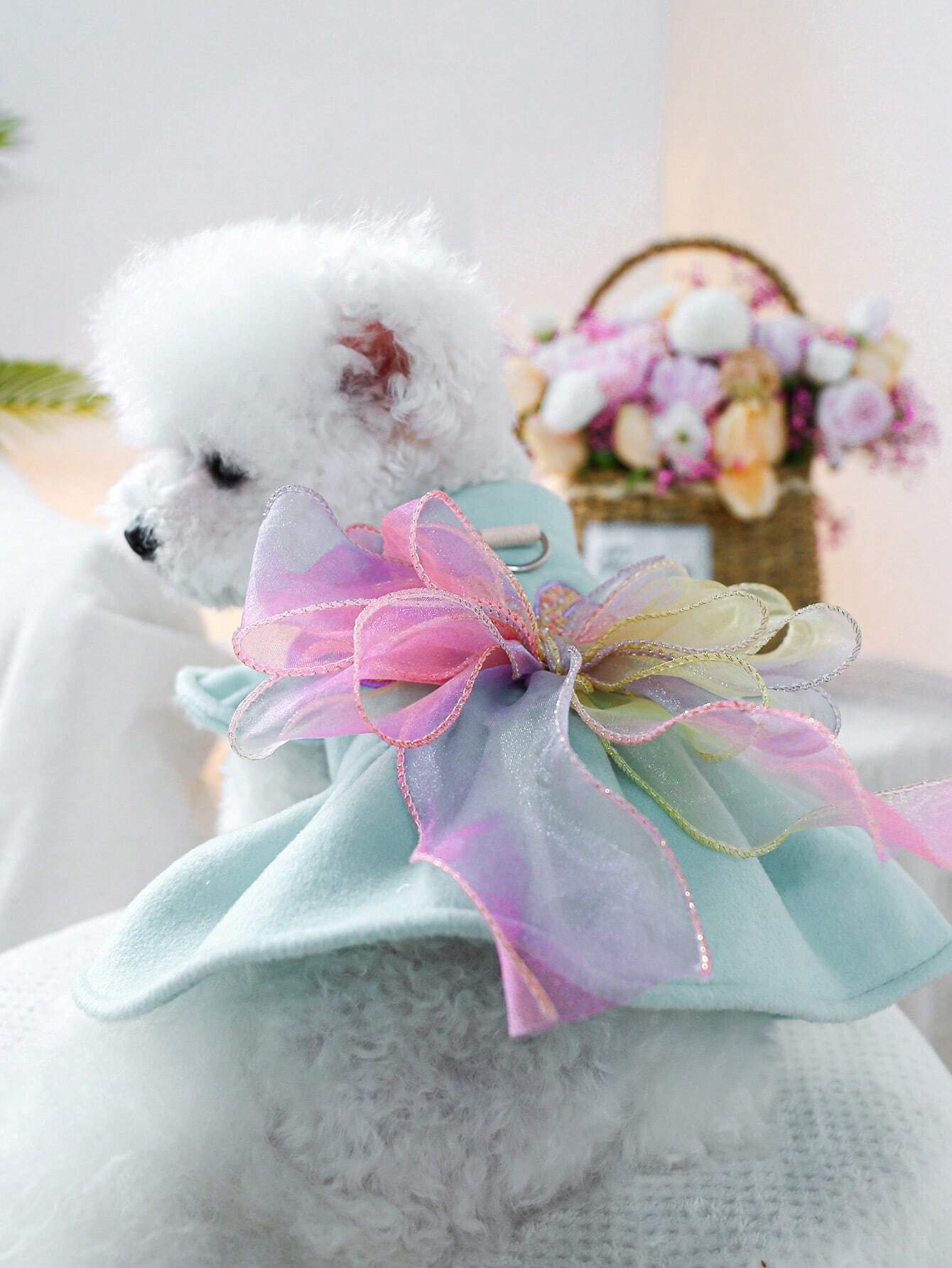 Vestitino con Maxi Fiocco a Farfalla