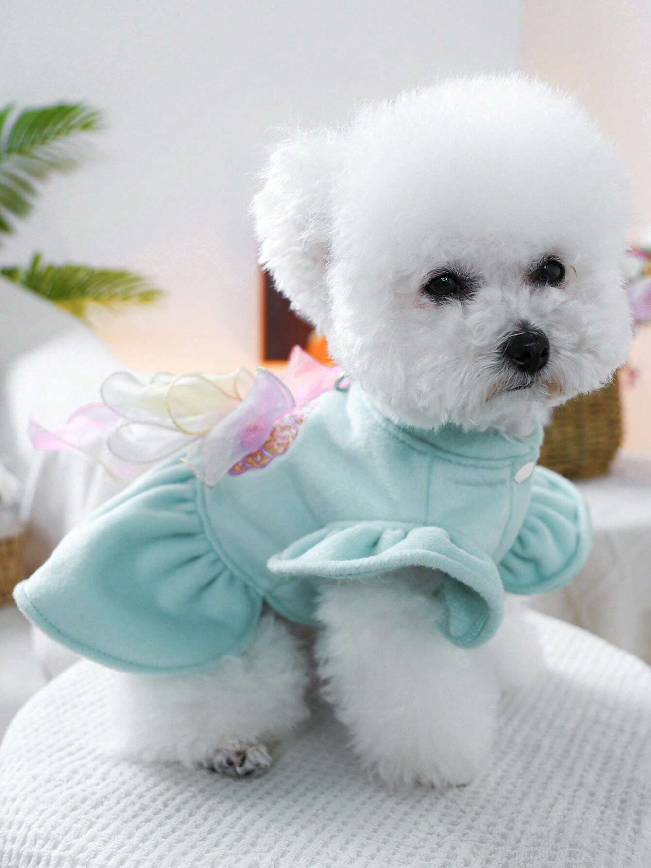 Vestitino con Maxi Fiocco a Farfalla