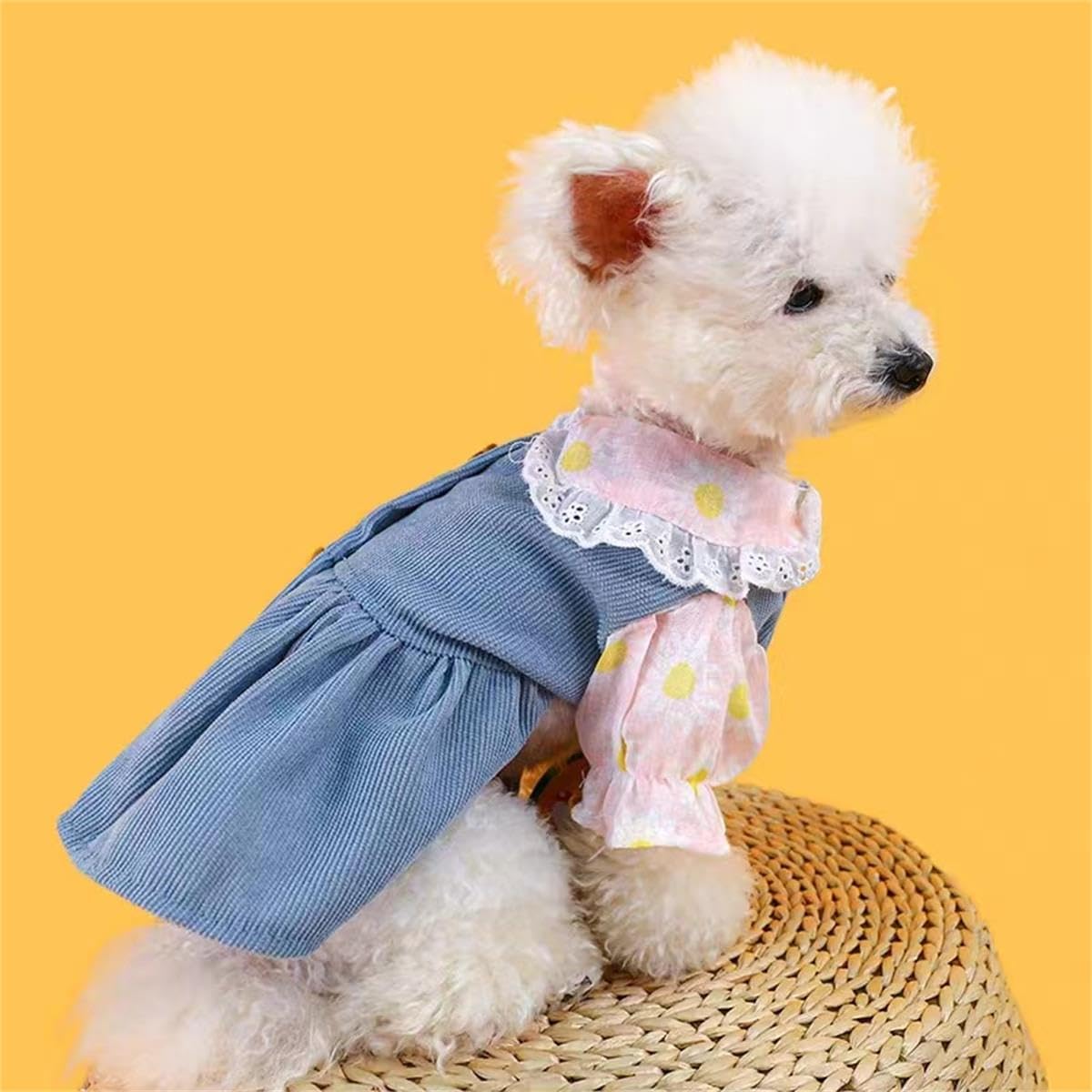 Vestito con Orsetti e Colletto Floreale