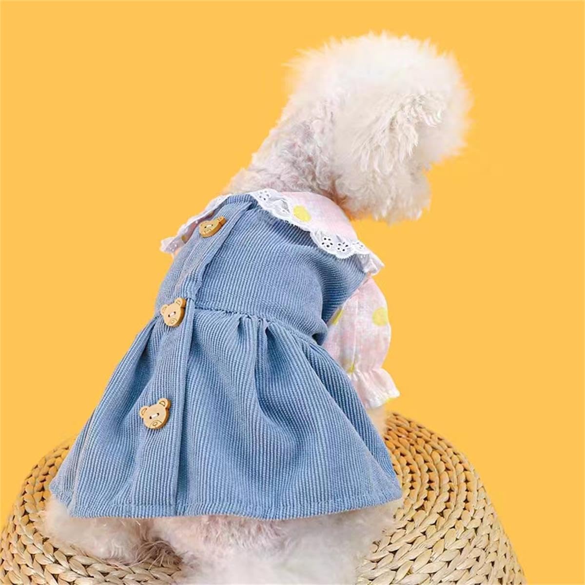 Vestito con Orsetti e Colletto Floreale