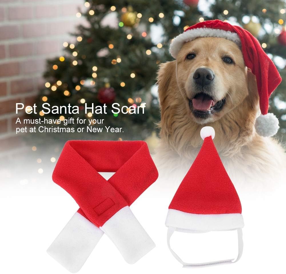 Kit Cappello con Sciarpa di Babbo Natale per Cani e Gatti