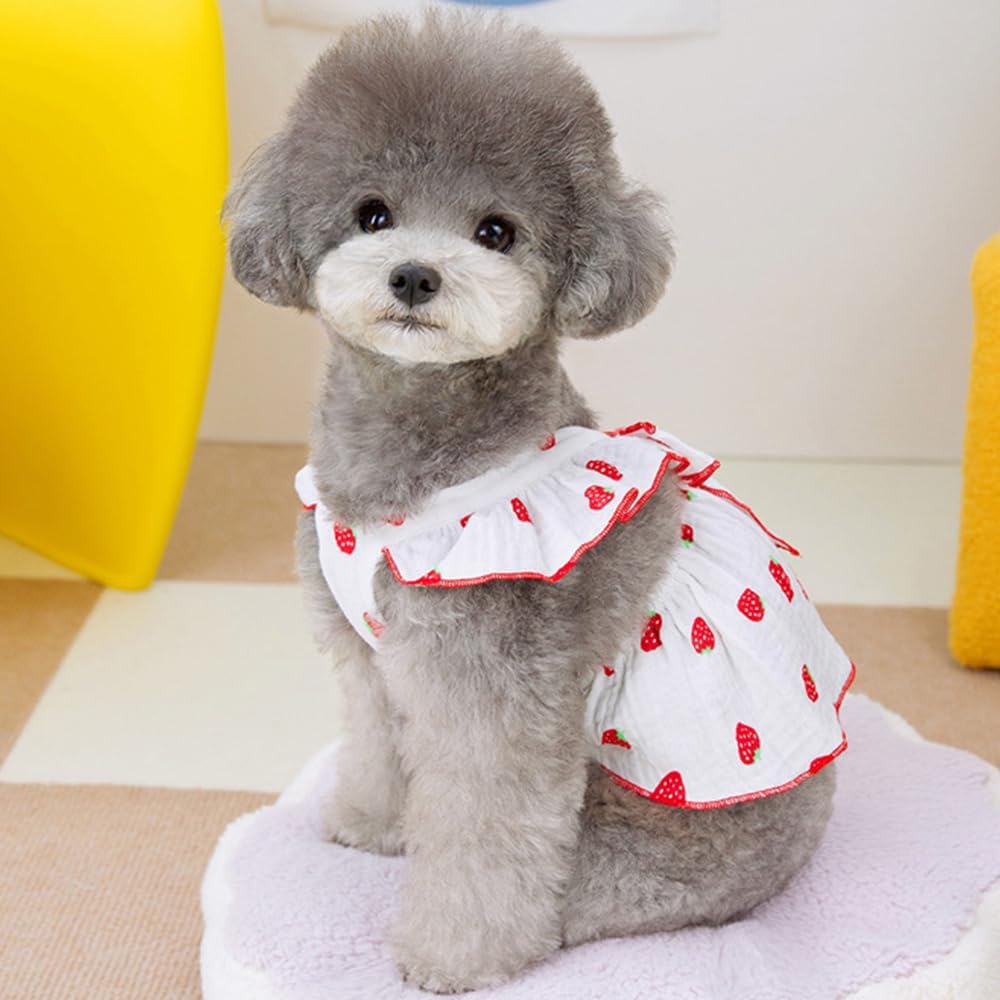 Vestitino Estivo con Fragoline