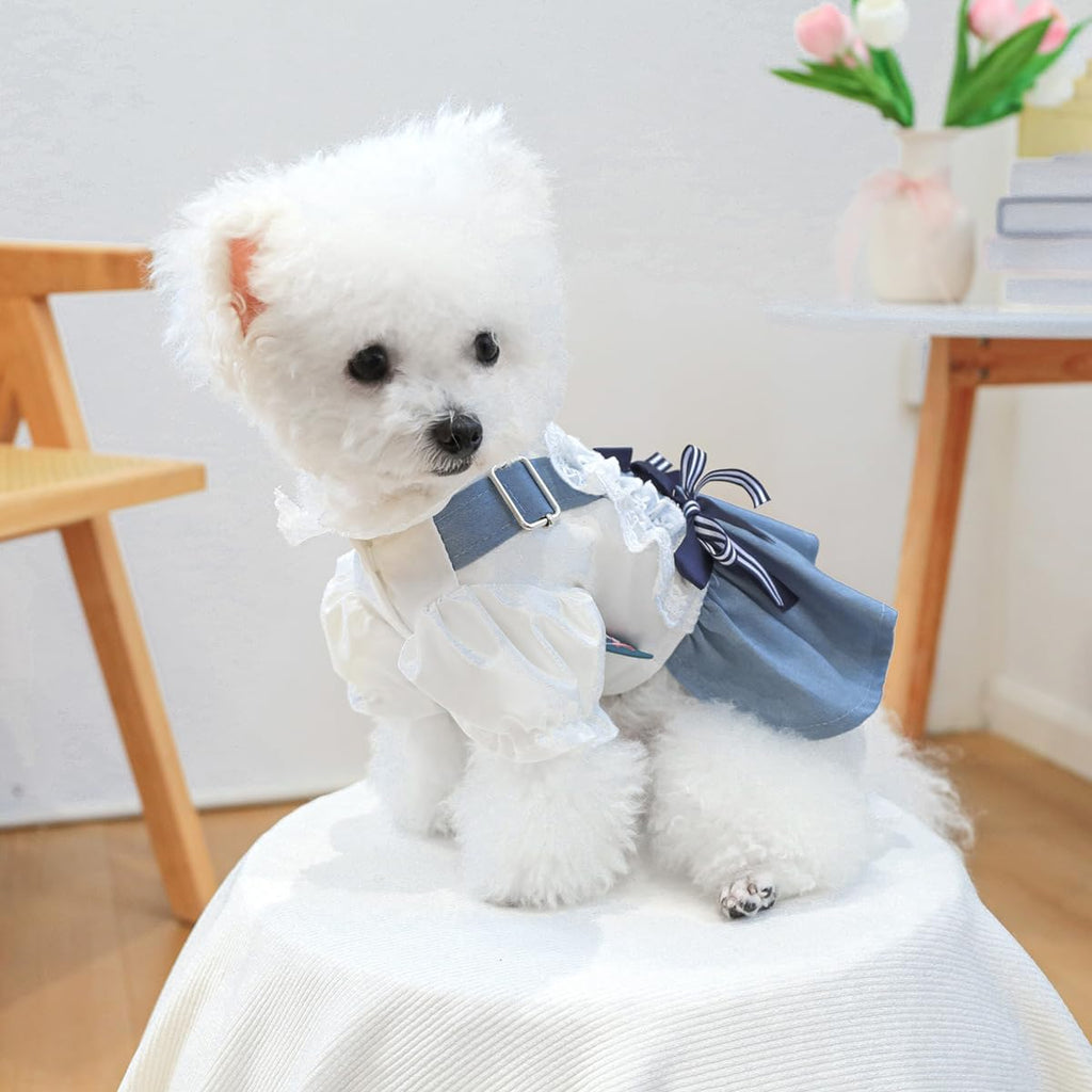 Vestito in Denim e Pizzo per Cagnoline