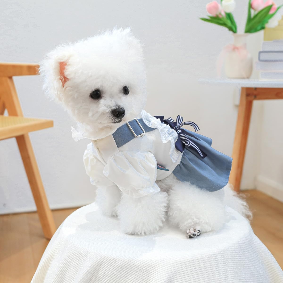 Vestito in Denim e Pizzo per Cagnoline