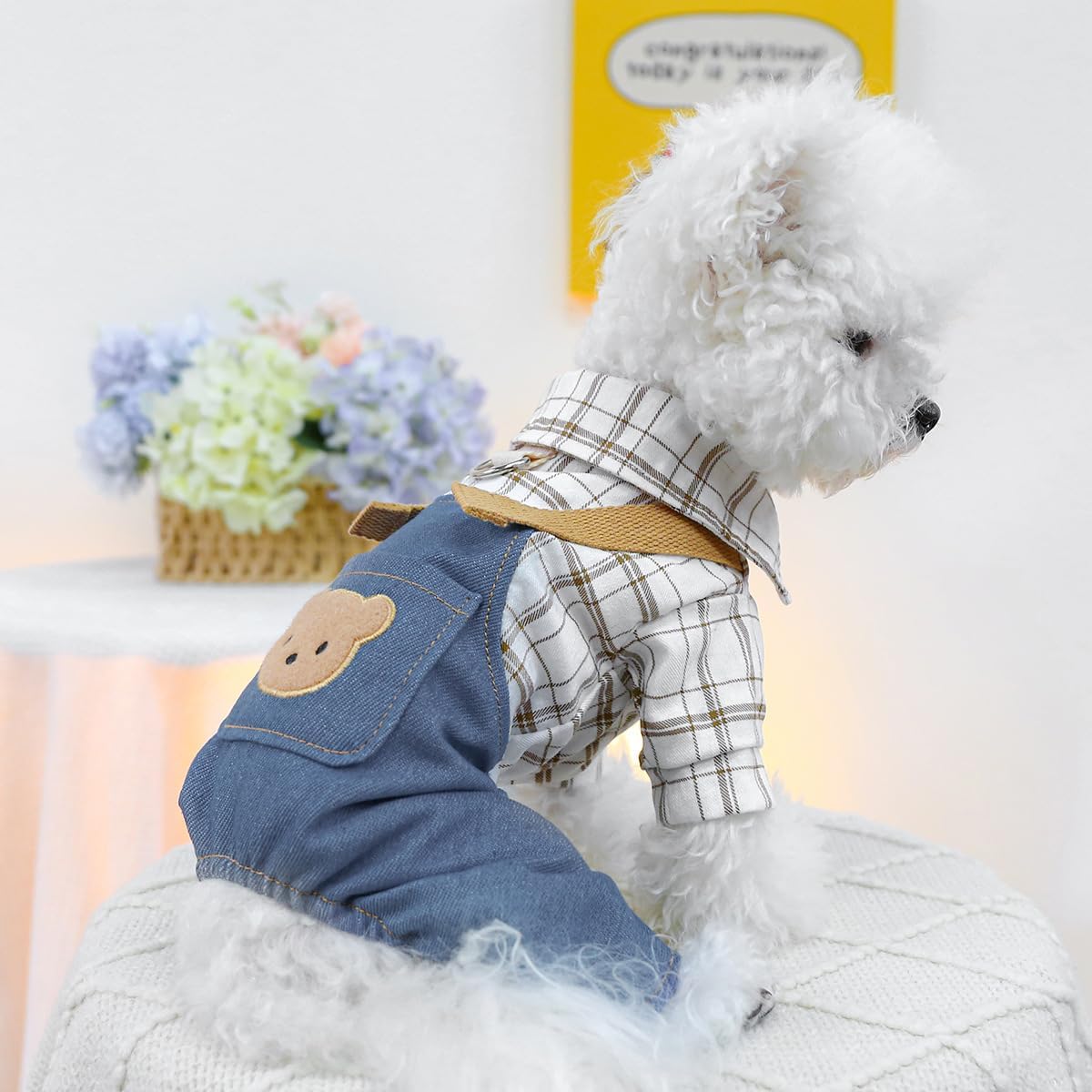 Salopette con Orsetto