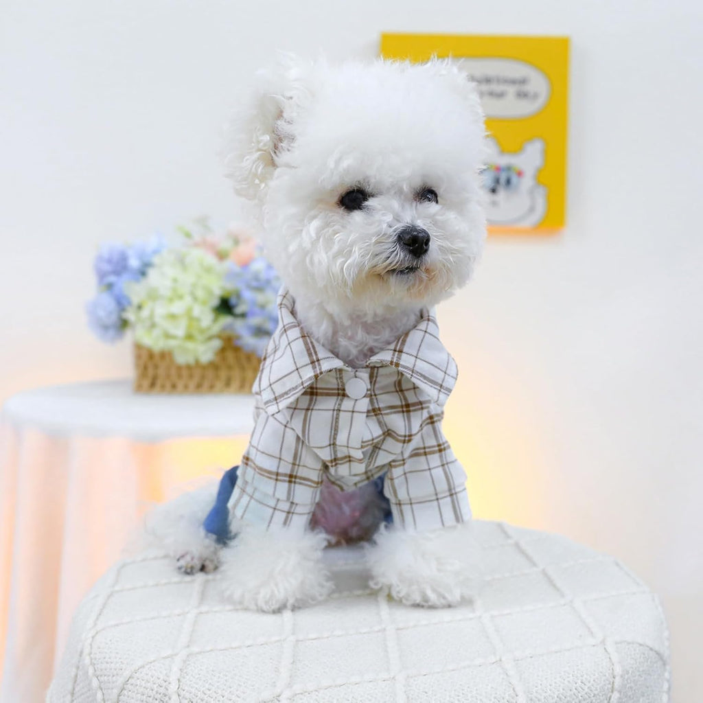 Salopette con Orsetto