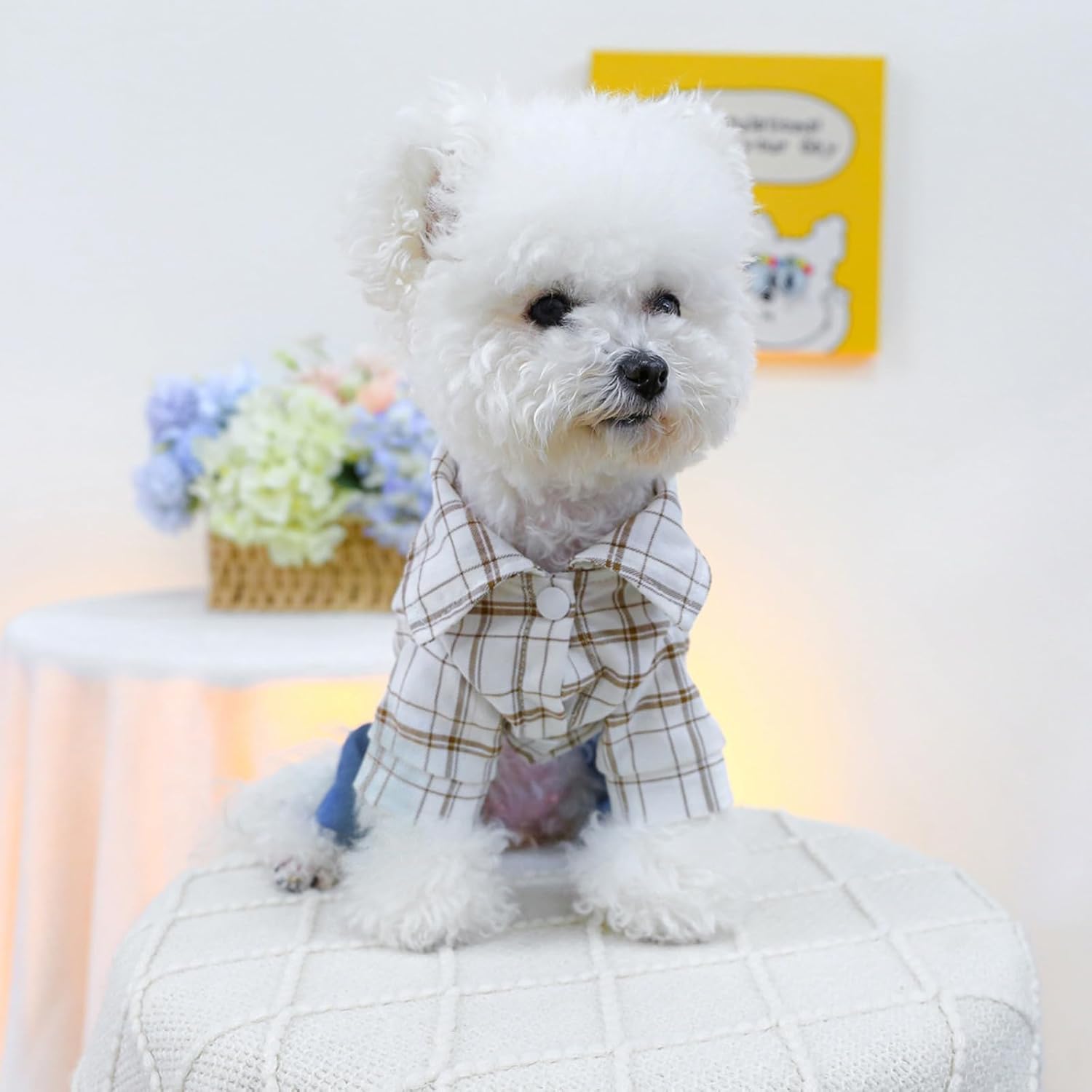 Salopette con Orsetto