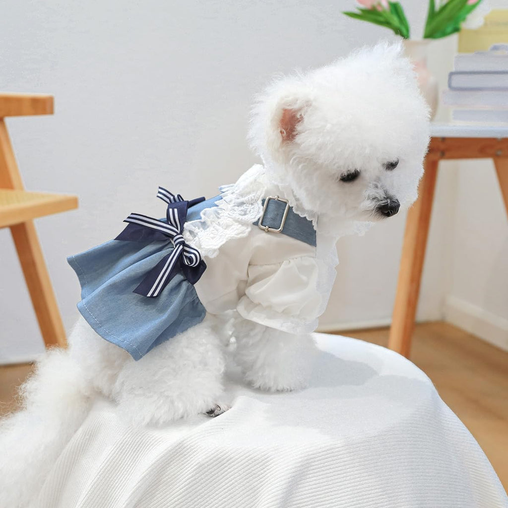 Vestito in Denim e Pizzo per Cagnoline