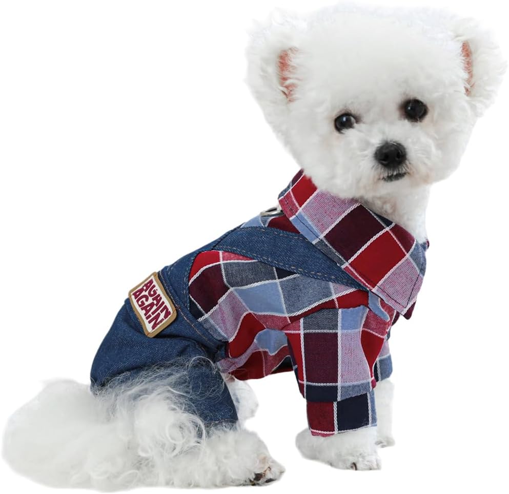 Salopette con Camicia a Quadri