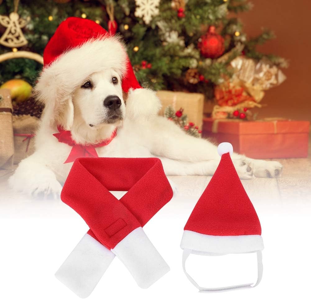Kit Cappello con Sciarpa di Babbo Natale per Cani e Gatti