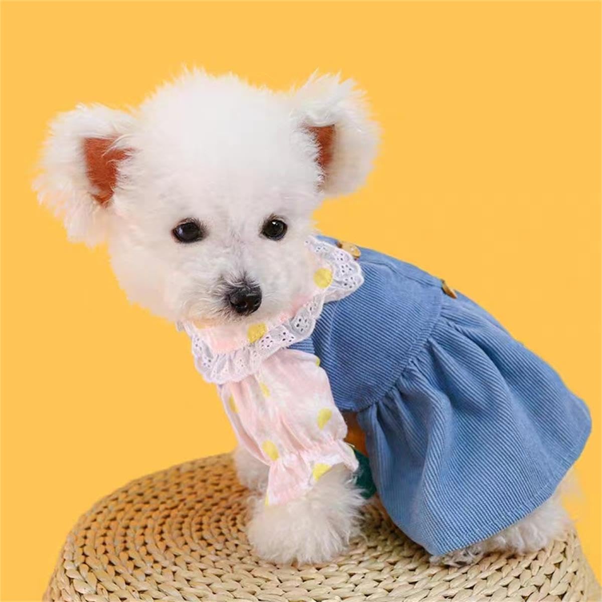 Vestito con Orsetti e Colletto Floreale