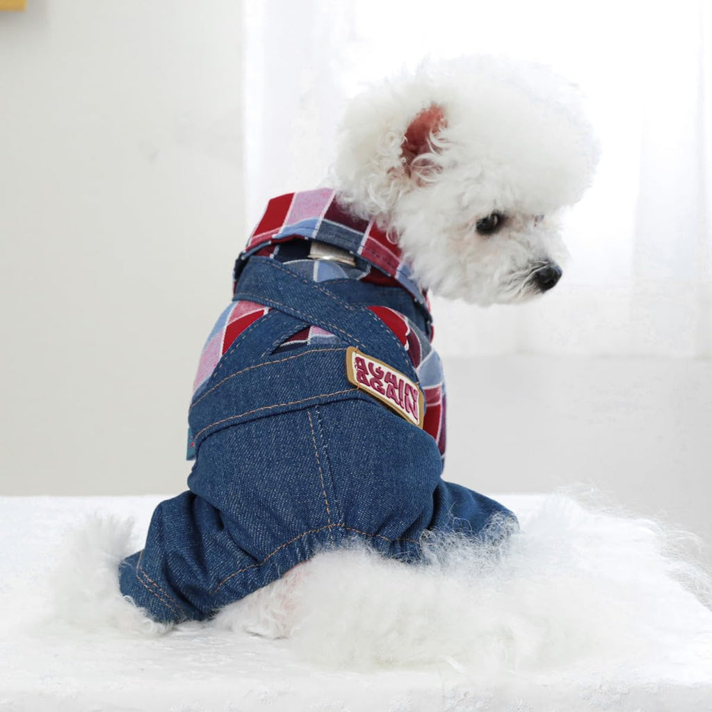 Salopette con Camicia a Quadri