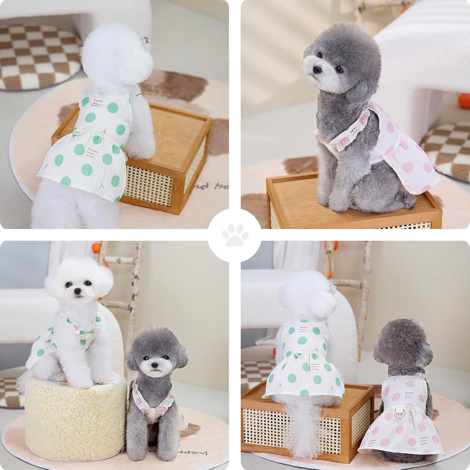 Vestitino Pois Estivo per Cani