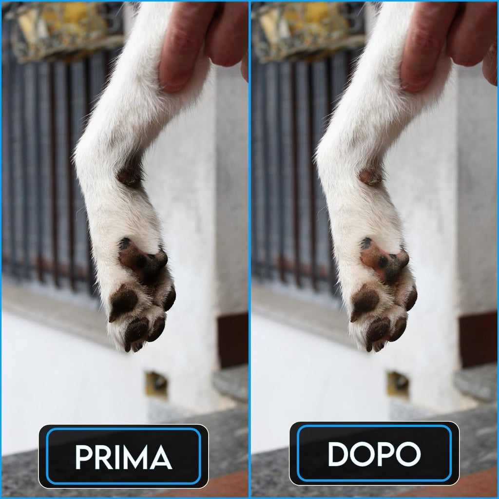 Lavazampette Portatile per Cani – Elimina Fango e Sporco Facilmente, Zampette Pulite Ovunque!