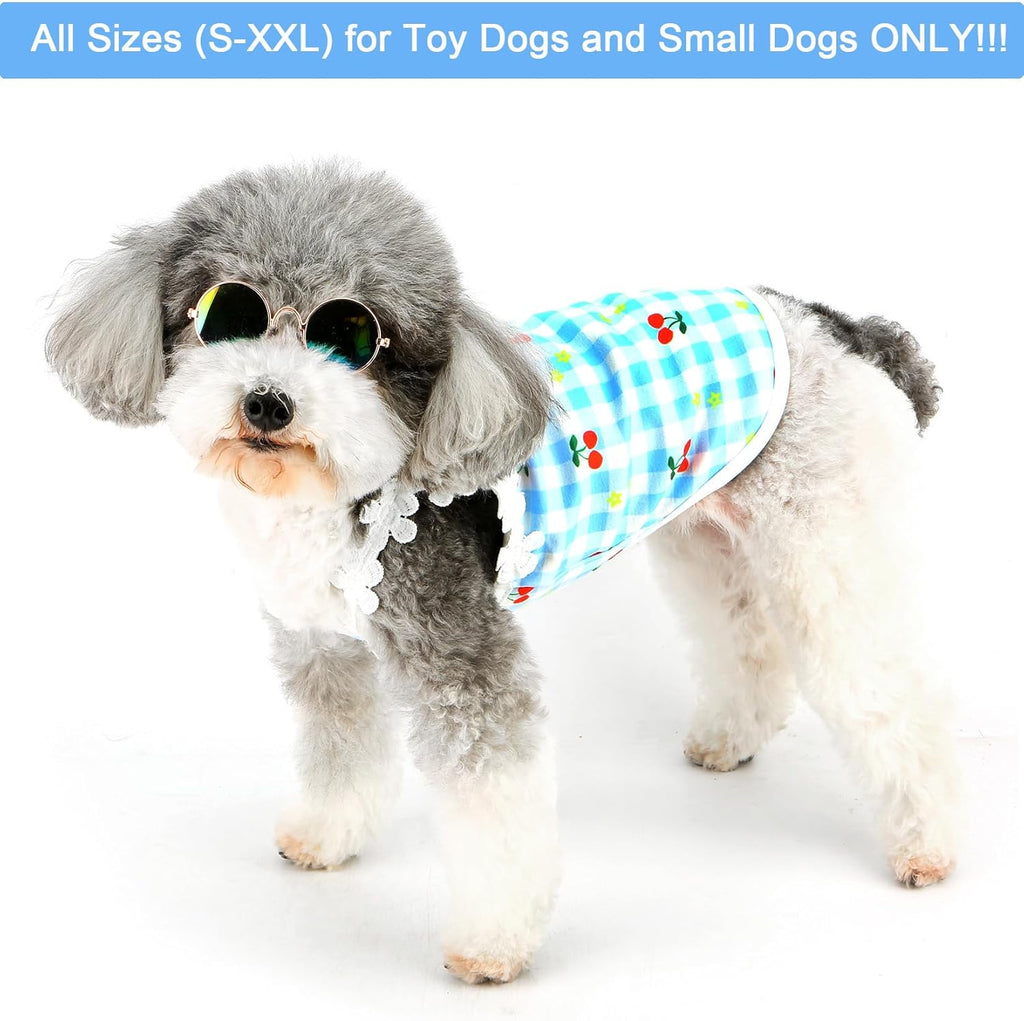 Vestitino a Quadri con Fragoline