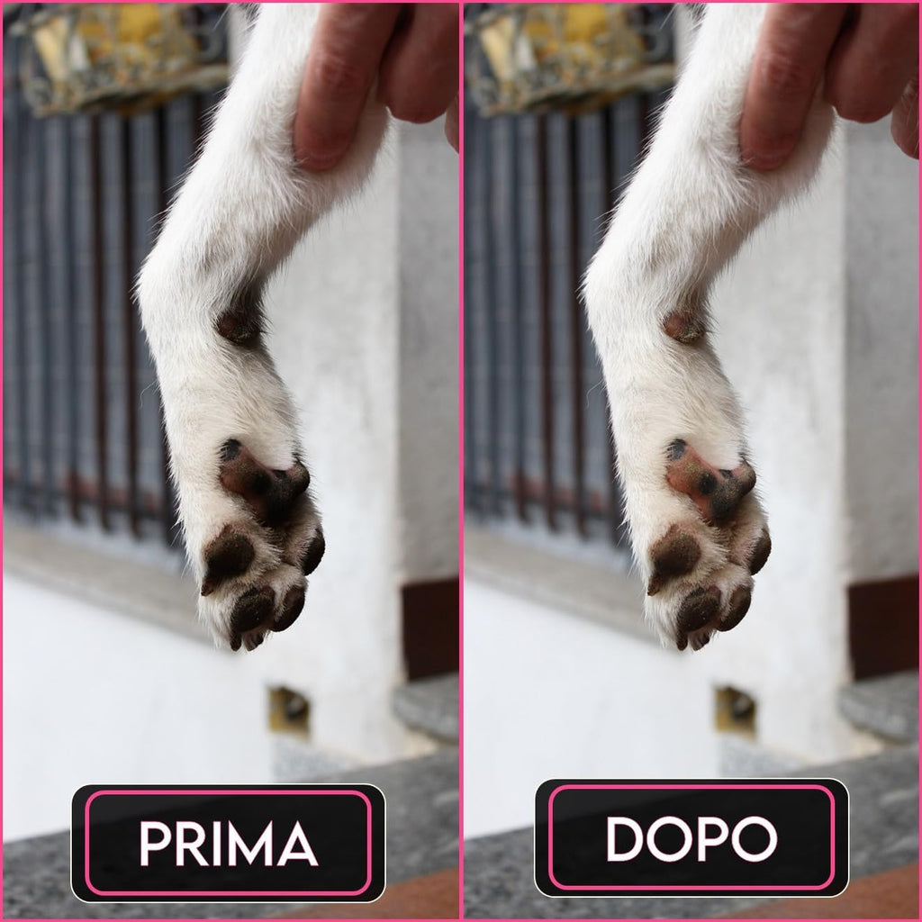 Lavazampette Portatile per Cani – Elimina Fango e Sporco Facilmente, Zampette Pulite Ovunque!