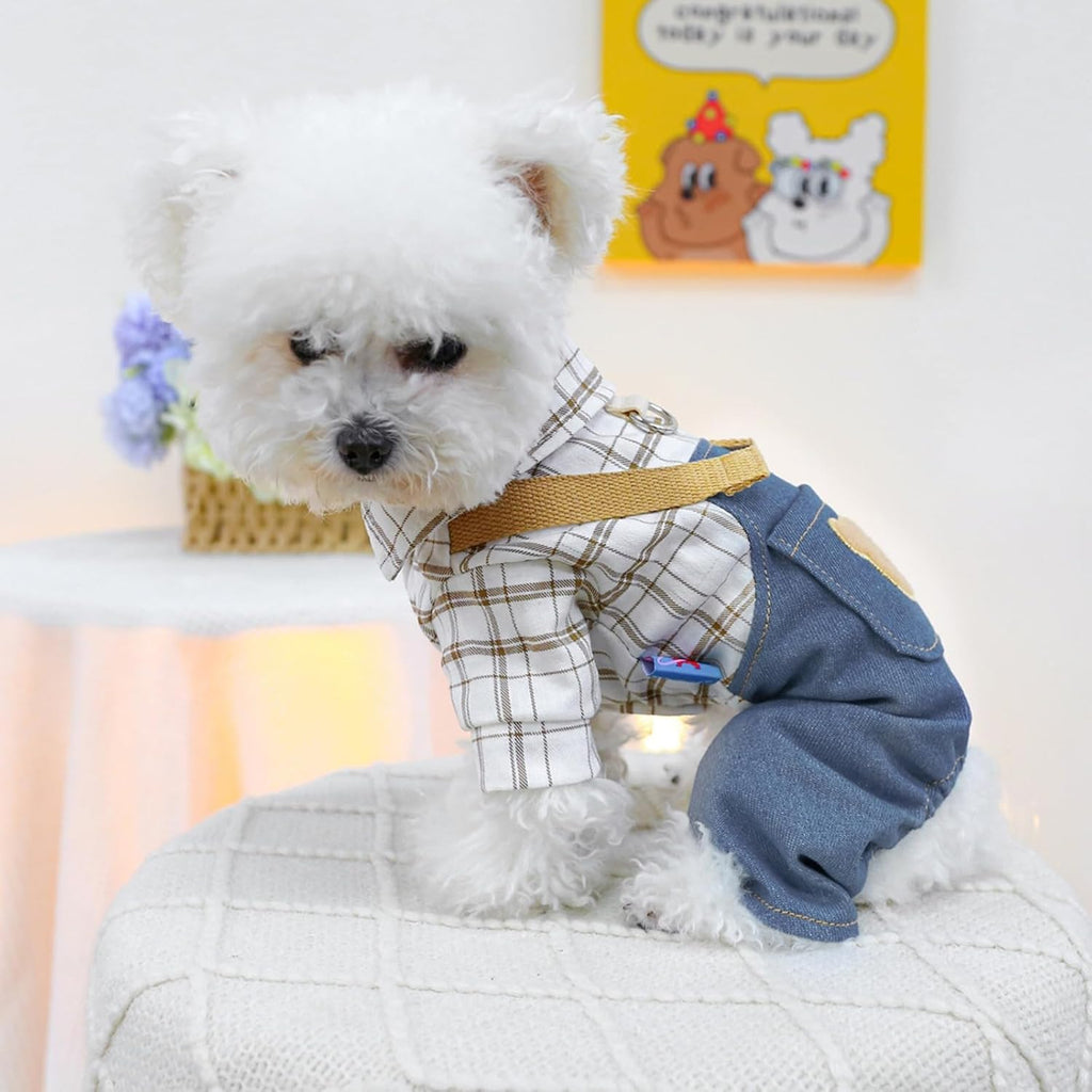 Salopette con Orsetto