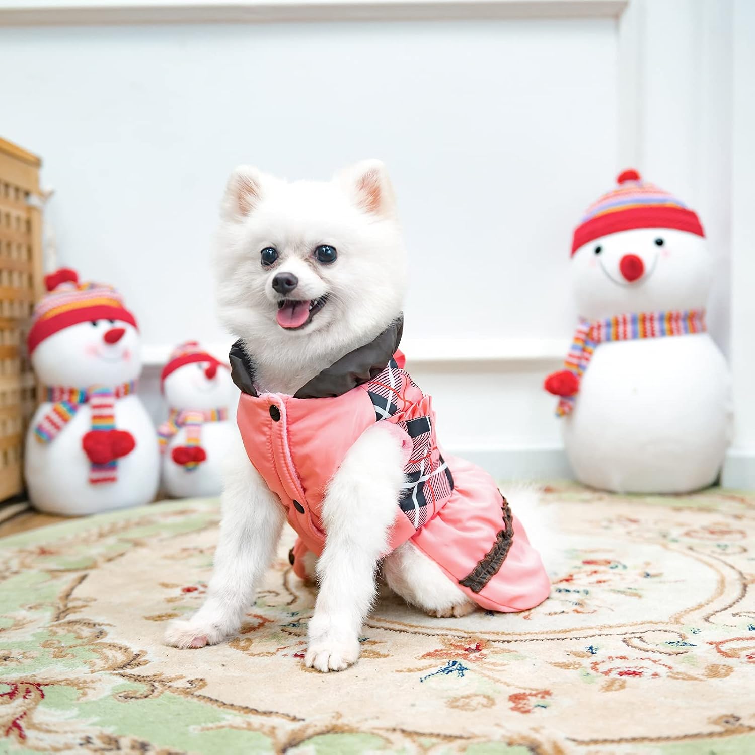 Vestitino Invernale Elegante per Cani - Design a Quadri con Gonna a Balze