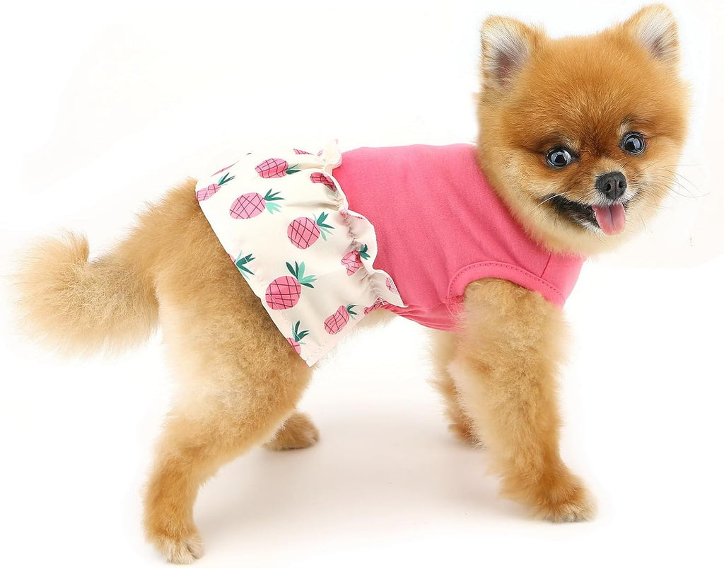 Abito Estivo Ananas Party