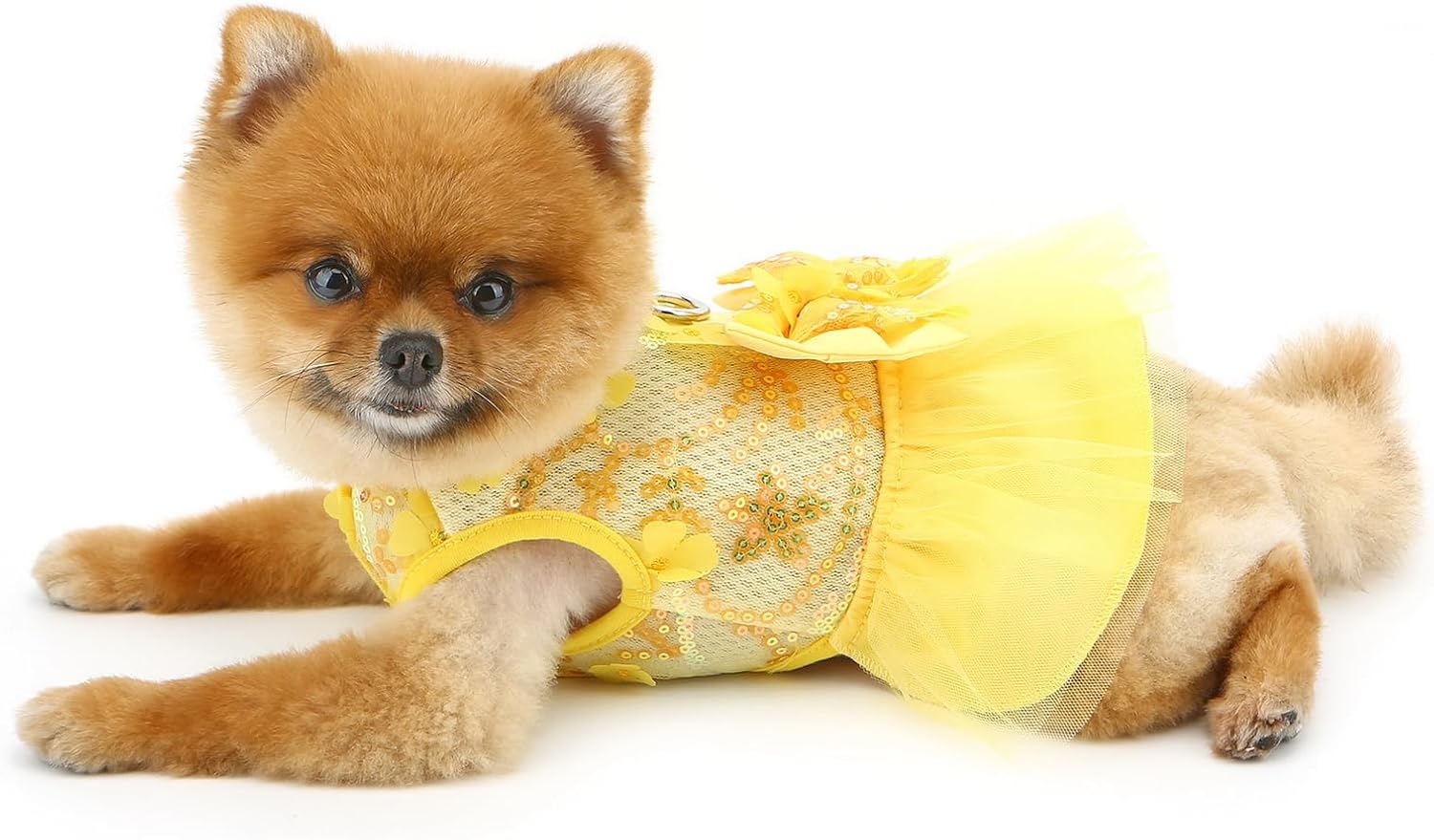 Vestitino Floreale con Fiocco