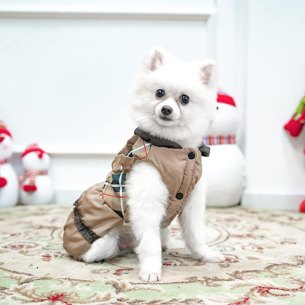 Vestitino Invernale Elegante per Cani - Design a Quadri con Gonna a Balze