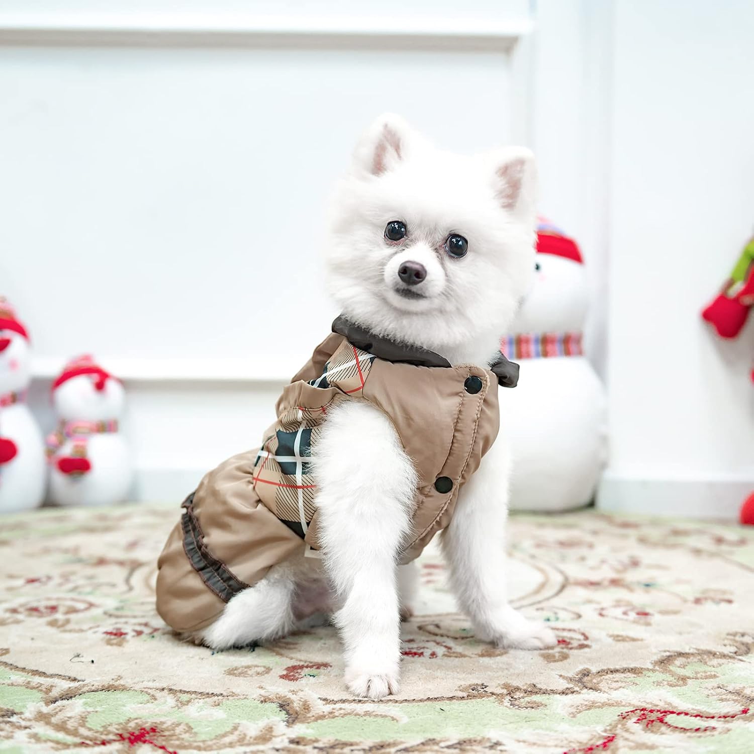 Vestitino Invernale Elegante per Cani - Design a Quadri con Gonna a Balze