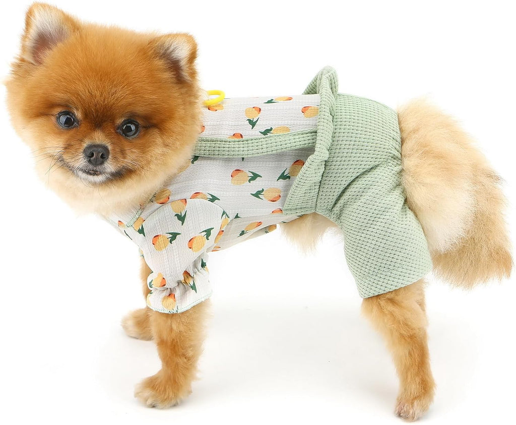 Vestitino Chic con Frutta