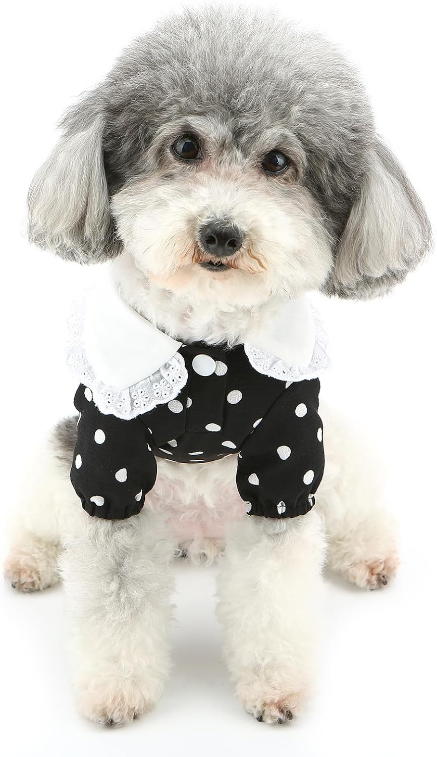 Vestitino a Pois con Colletto in Pizzo