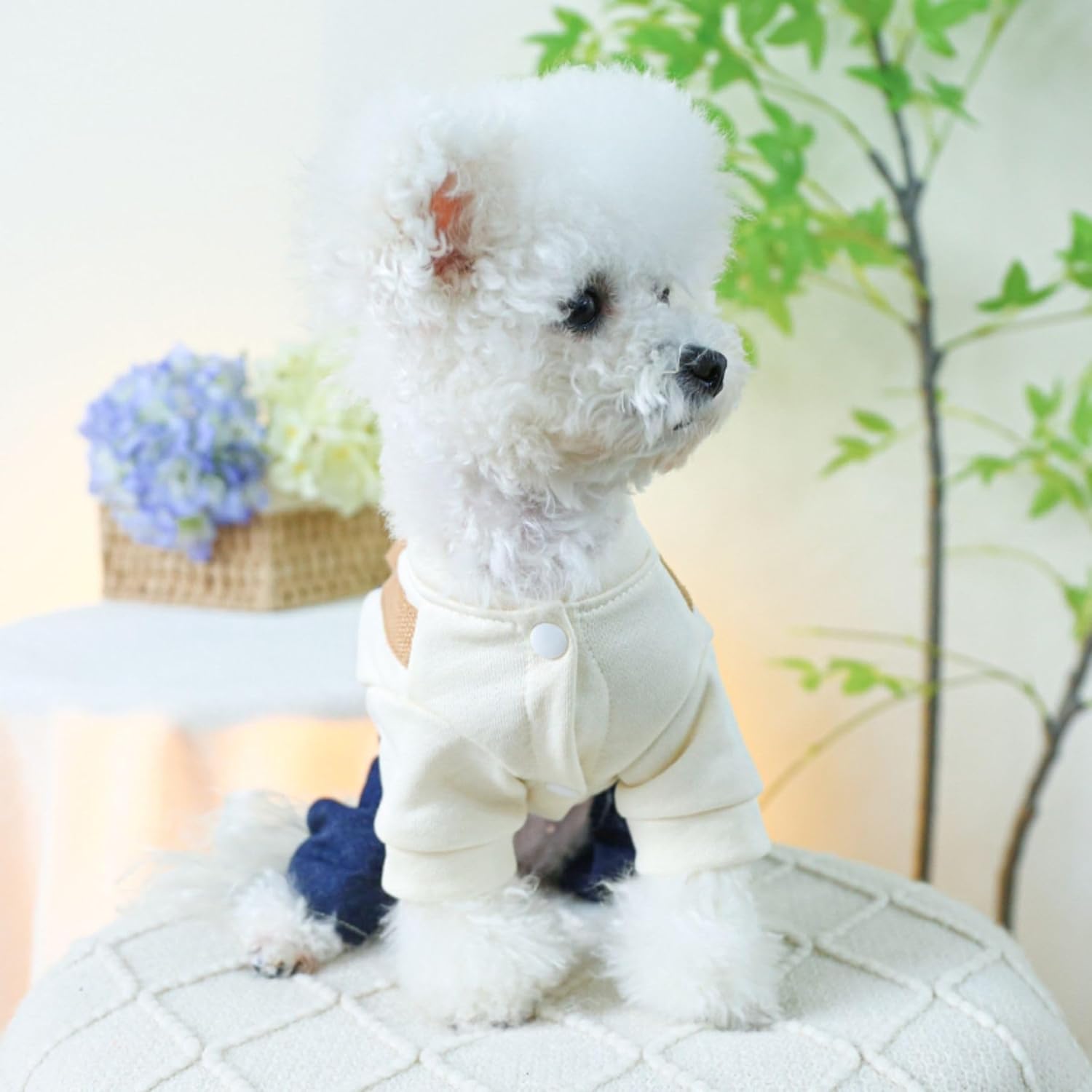 Salopette/Tuta Denim Con T-Shirt Integrata