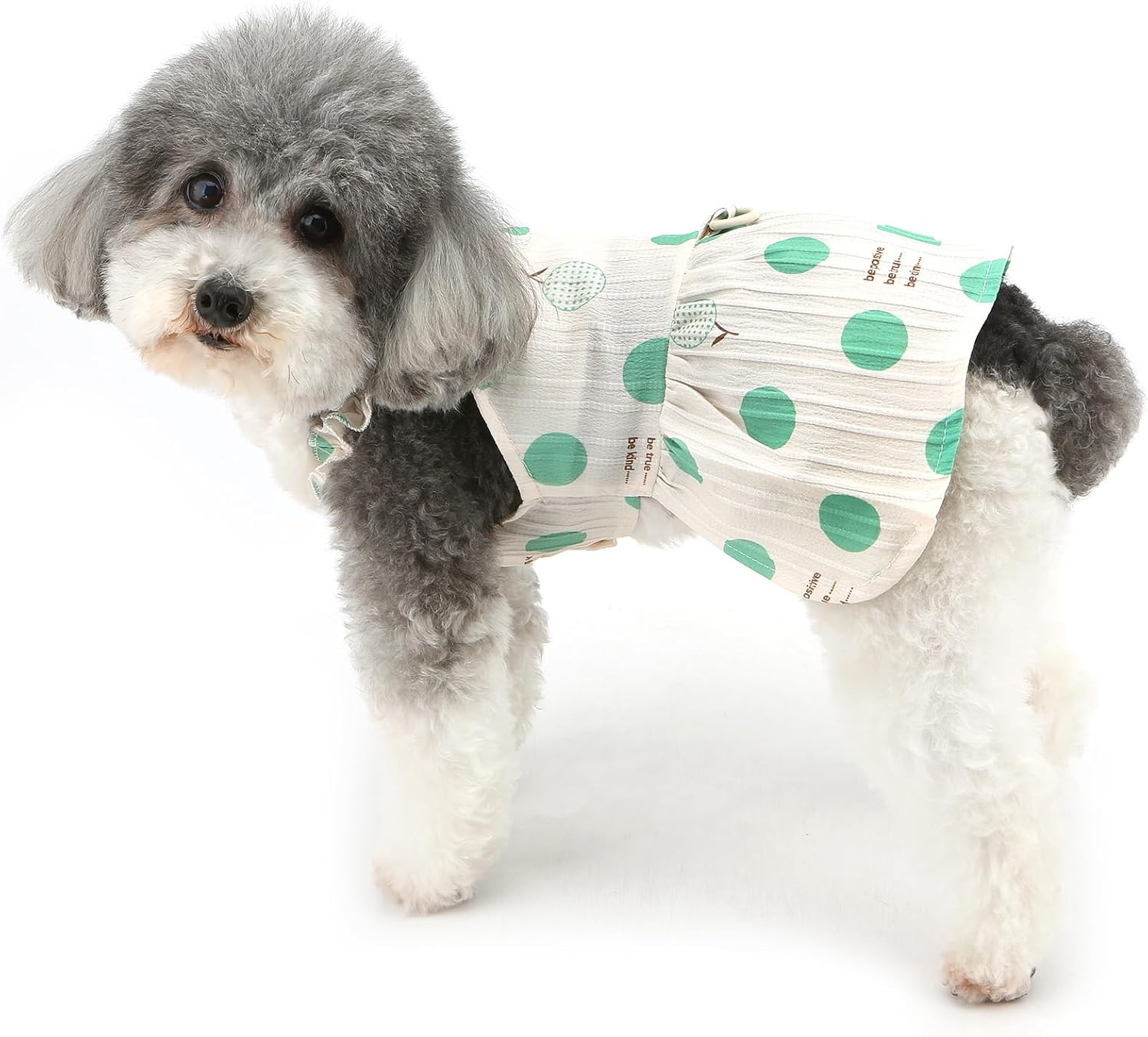 Vestitino Pois Estivo per Cani