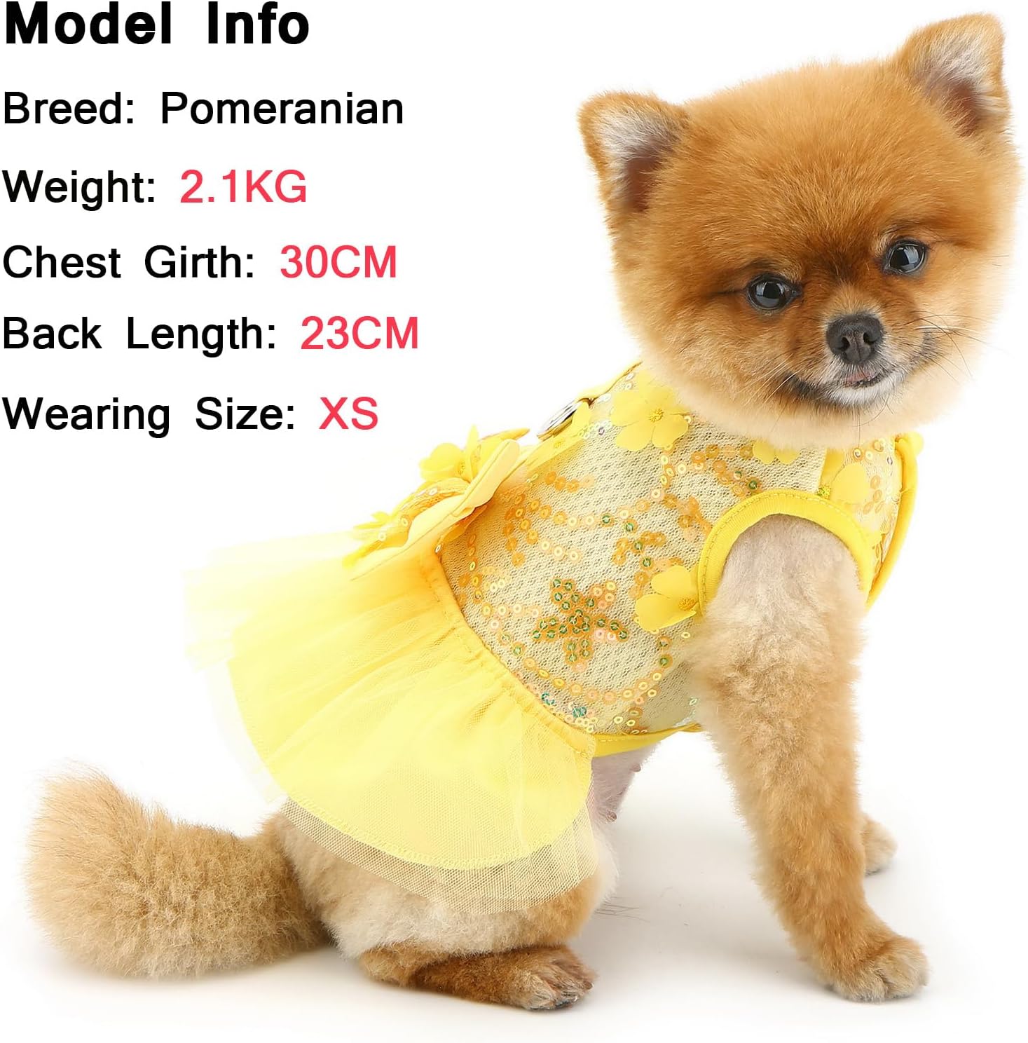 Vestitino Floreale con Fiocco