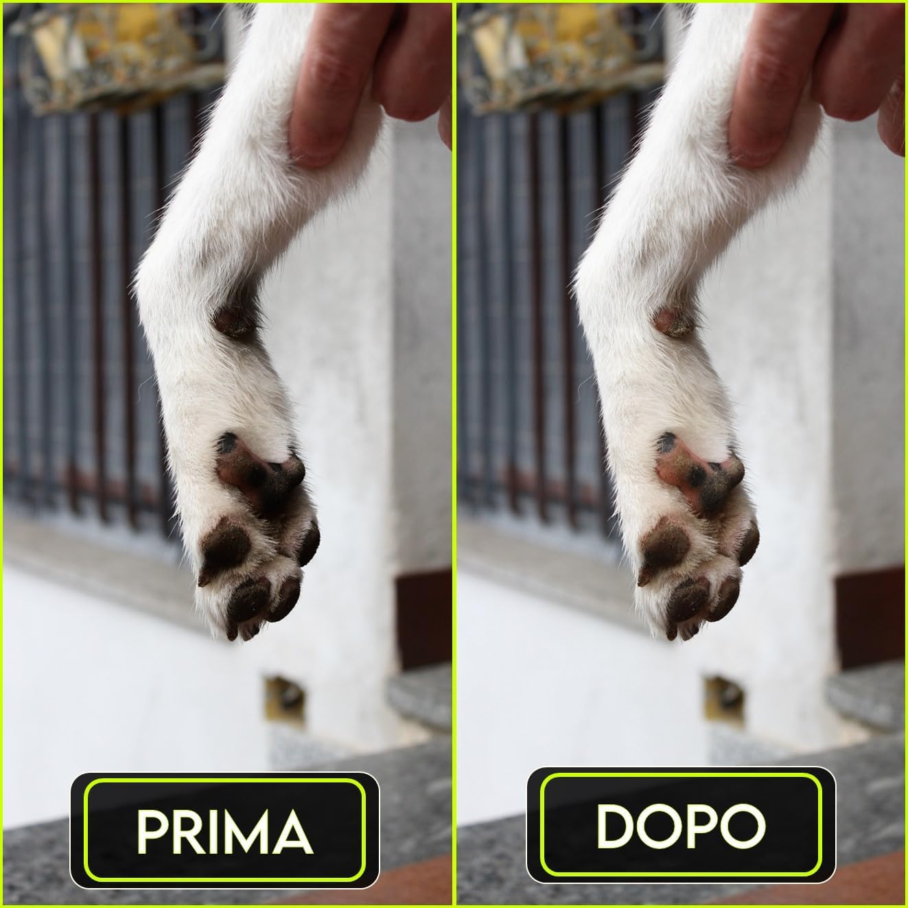 Lavazampette Portatile per Cani – Elimina Fango e Sporco Facilmente, Zampette Pulite Ovunque!