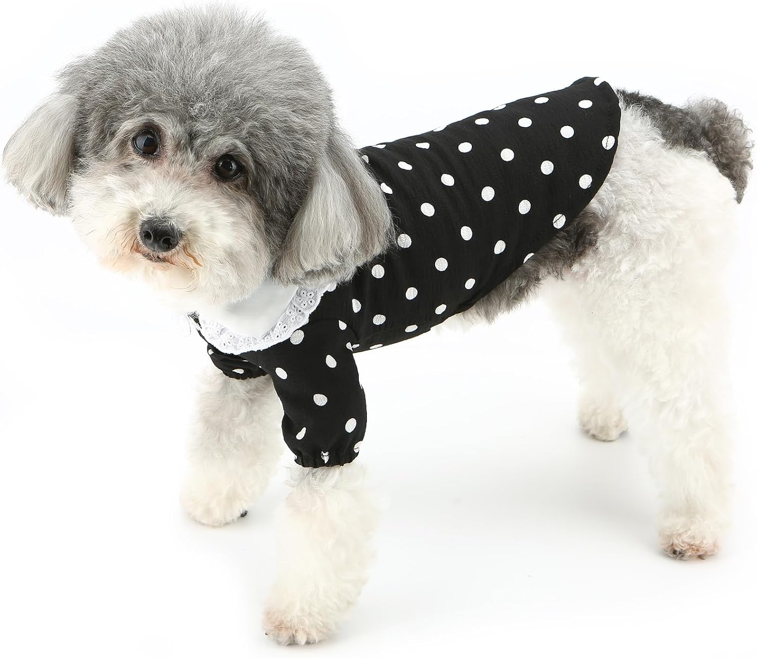 Vestitino a Pois con Colletto in Pizzo