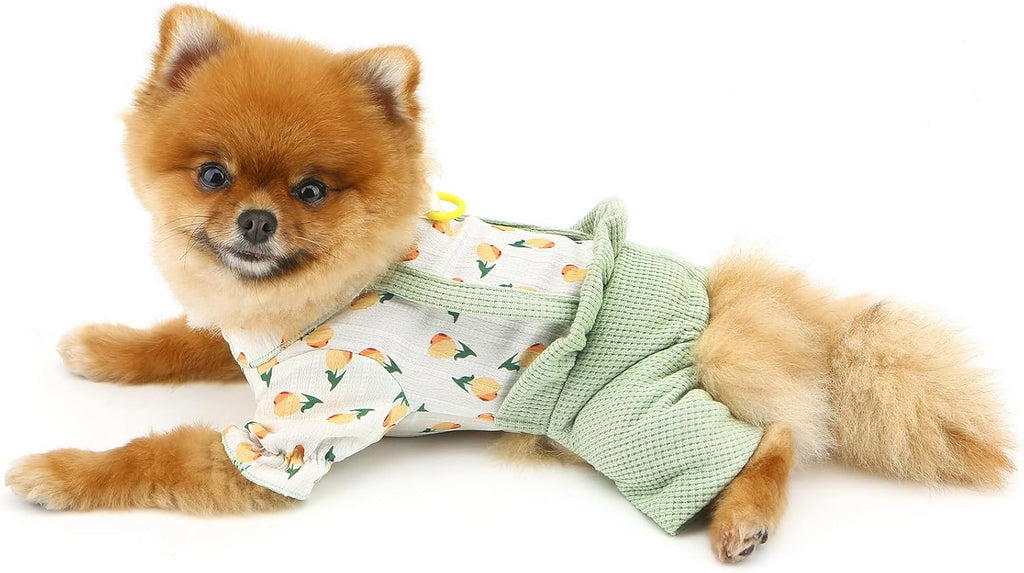 Vestitino Chic con Frutta