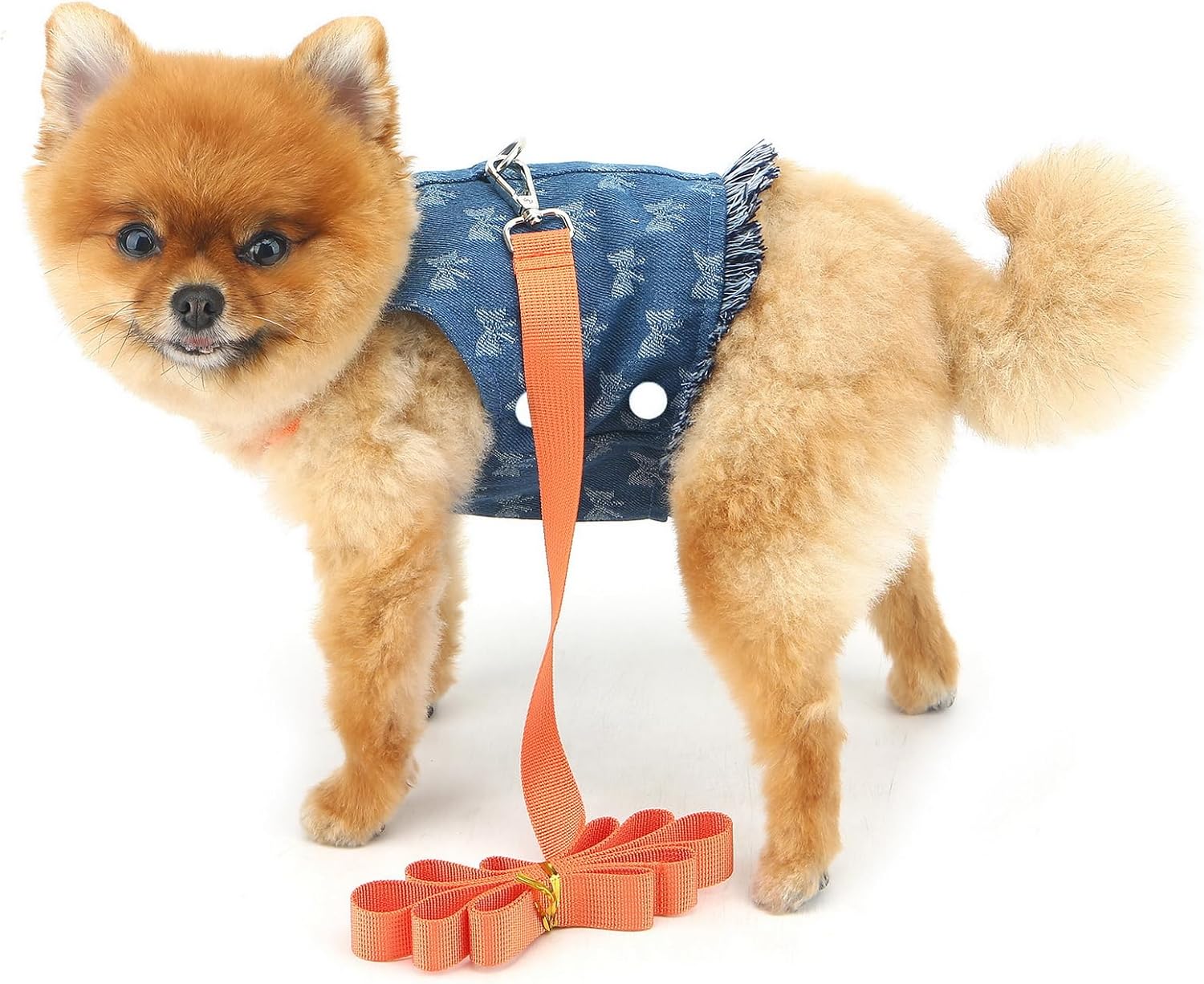 Salopette Jean con Guinzaglio