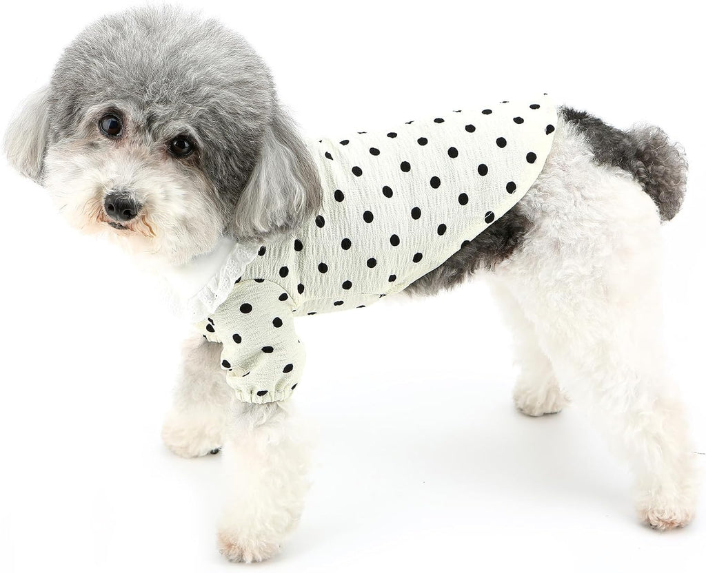 Vestitino a Pois con Colletto in Pizzo