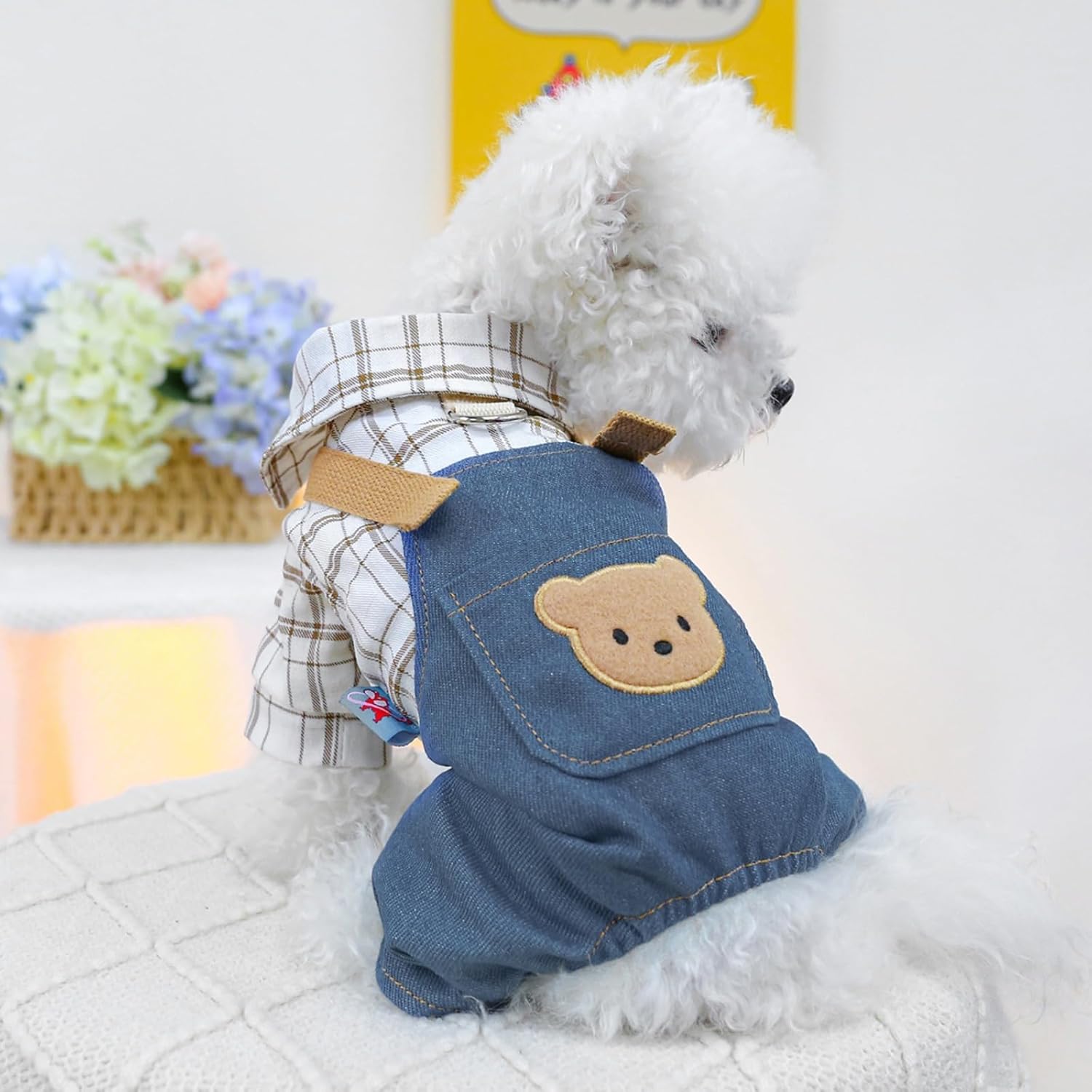 Salopette con Orsetto