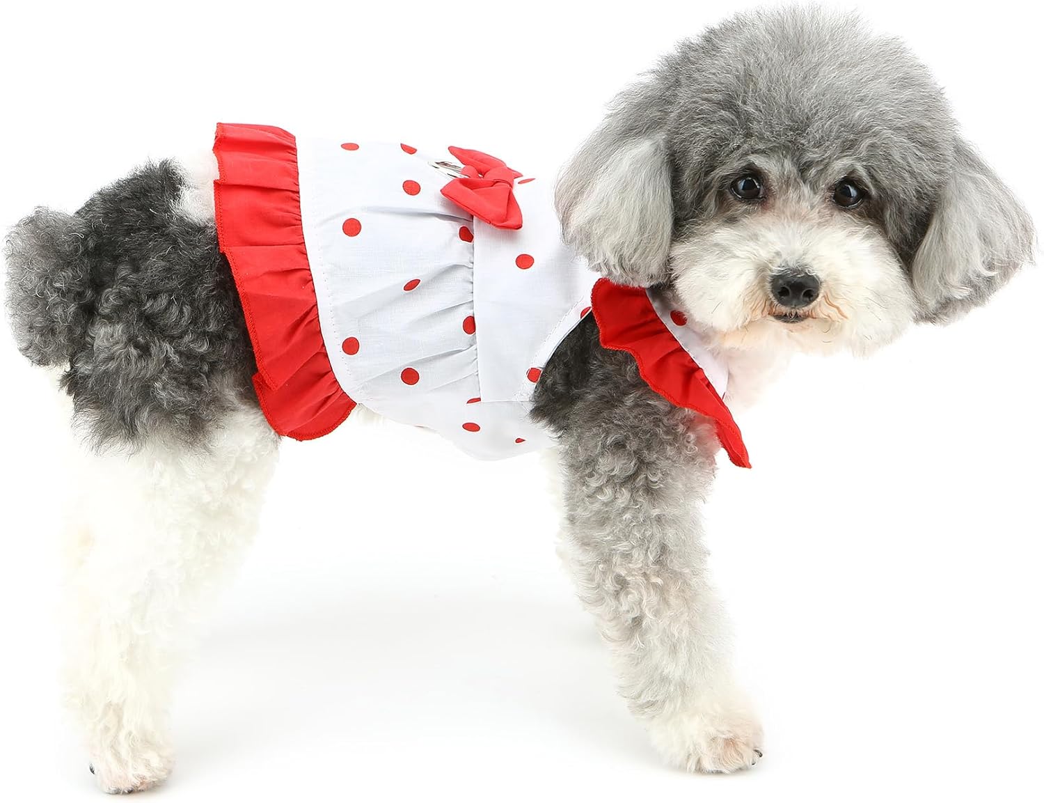 Abito Bon Ton con Fiocco