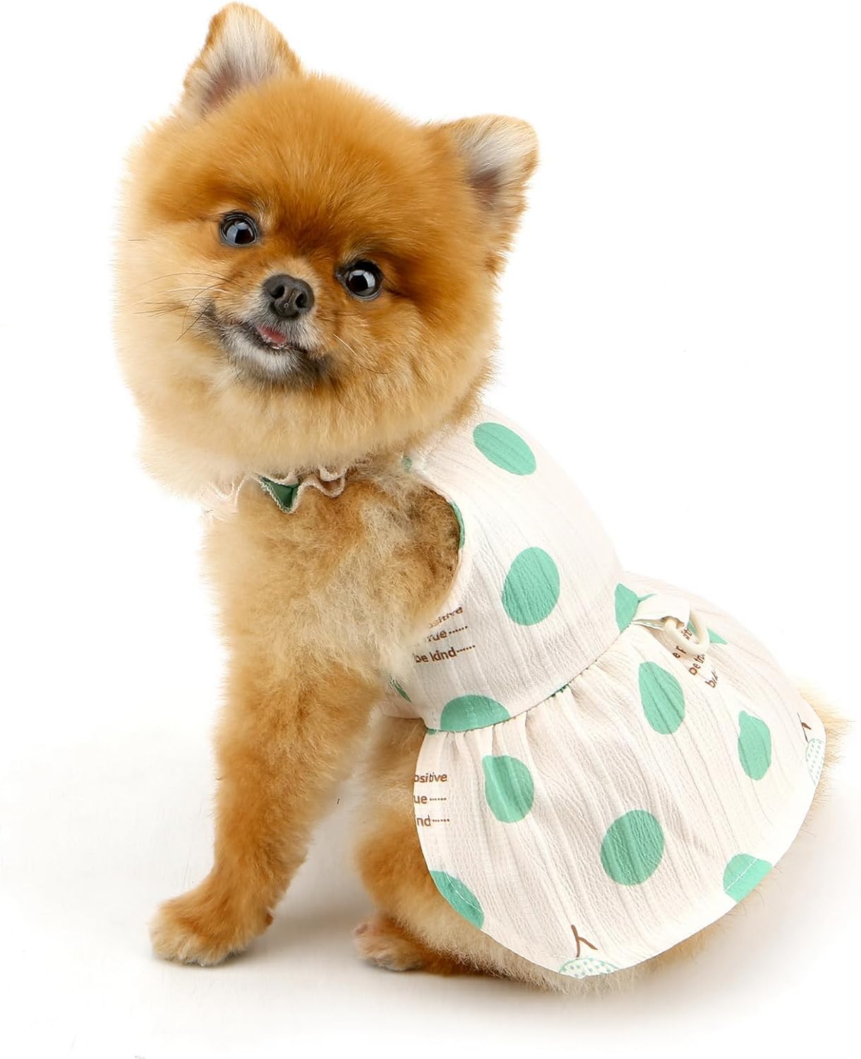 Vestitino Pois Estivo per Cani