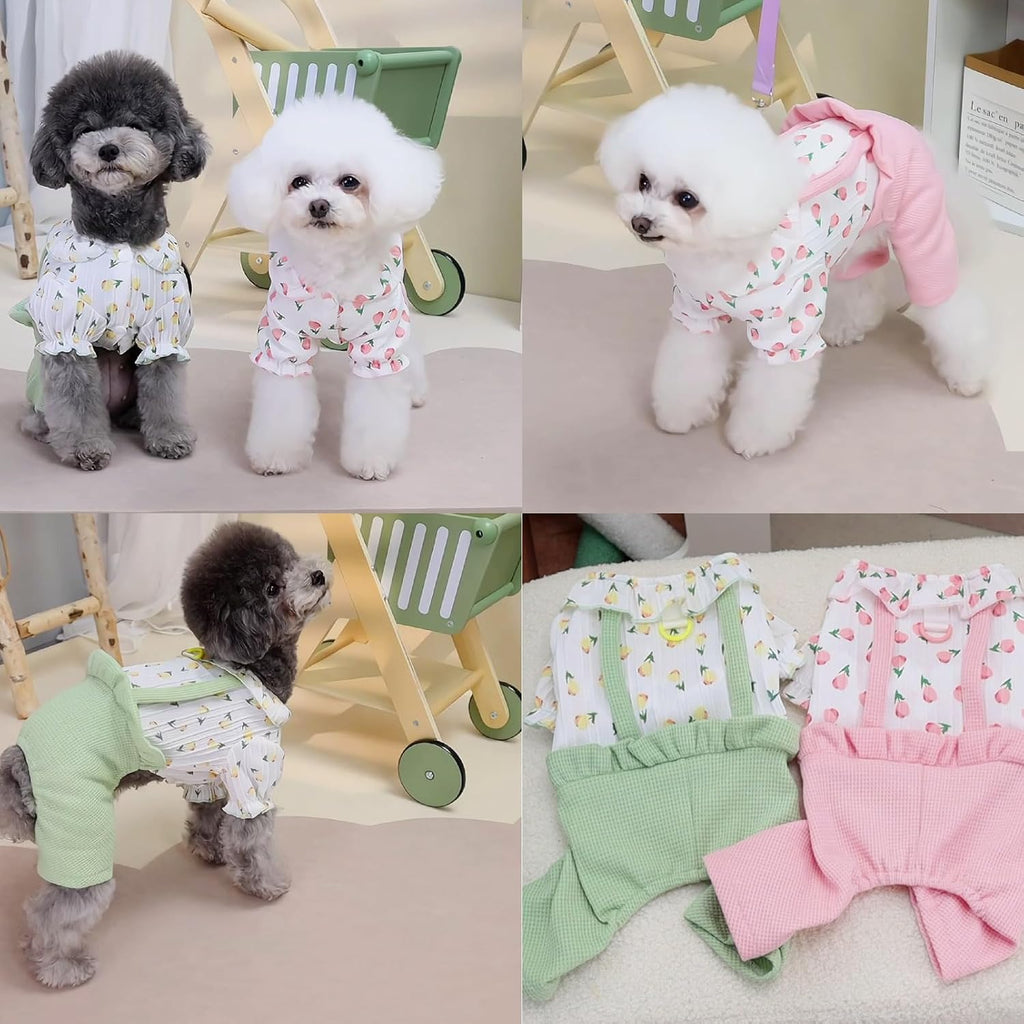 Vestitino Chic con Frutta