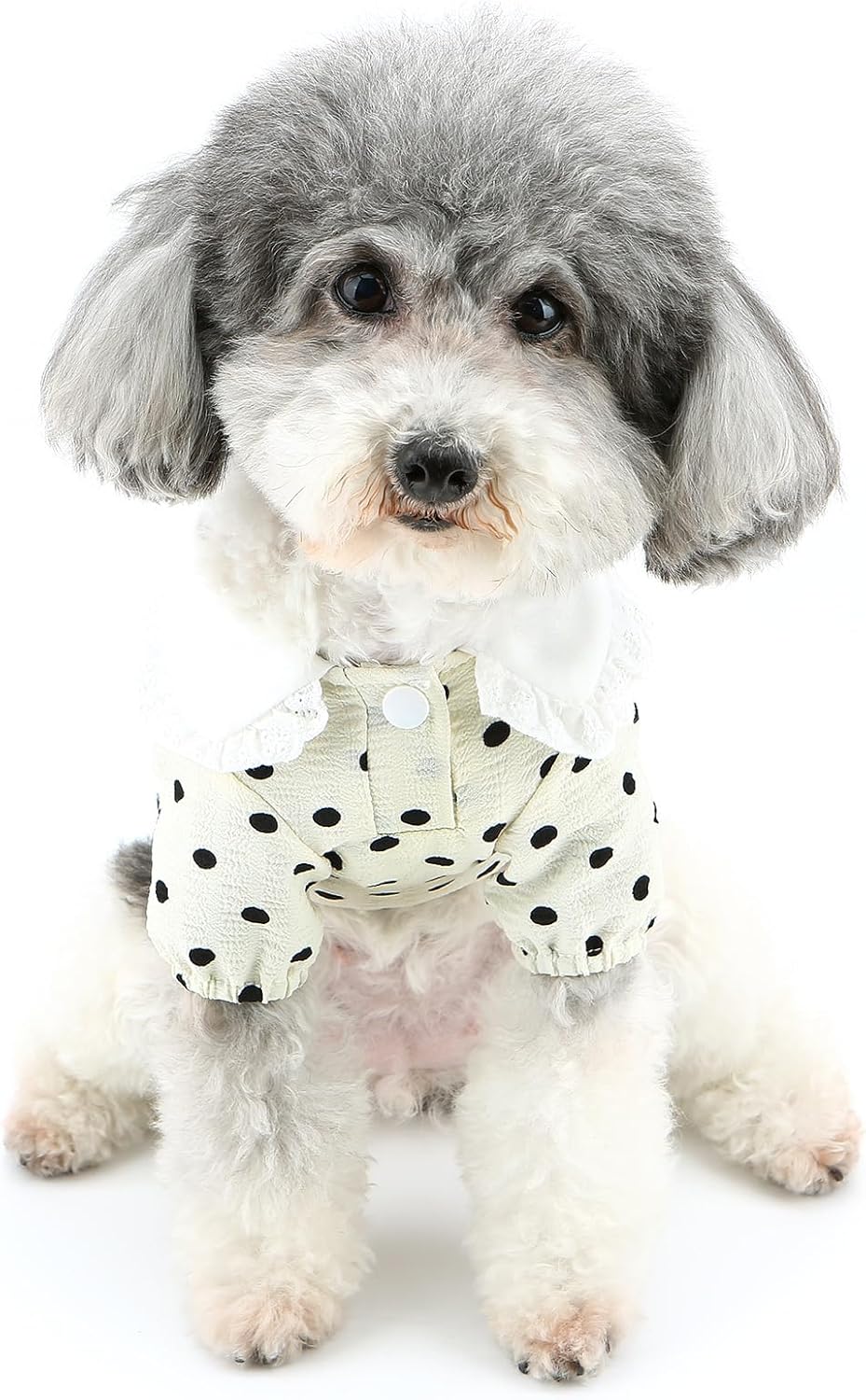 Vestitino a Pois con Colletto in Pizzo