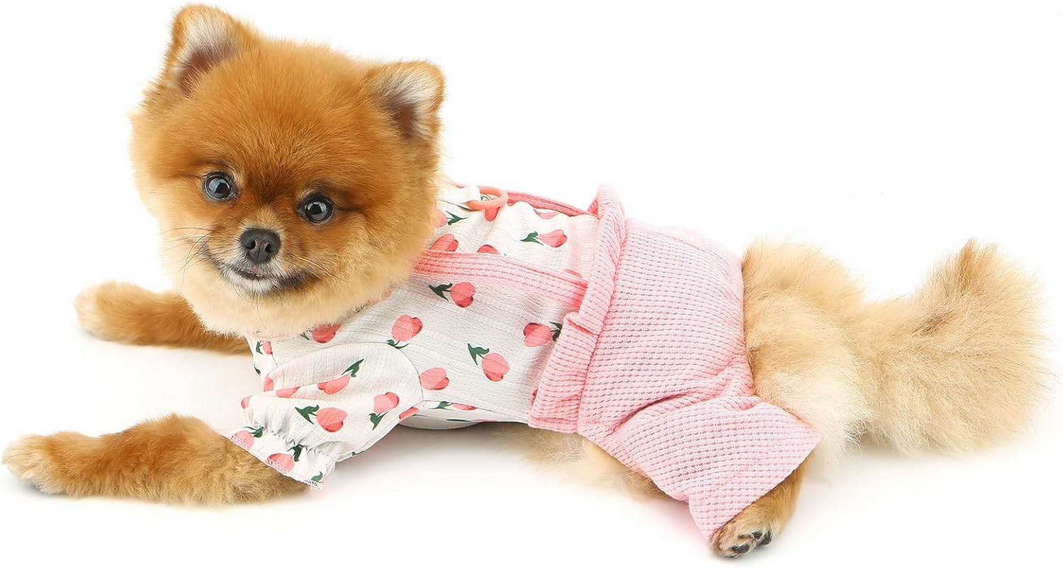 Vestitino Chic con Frutta