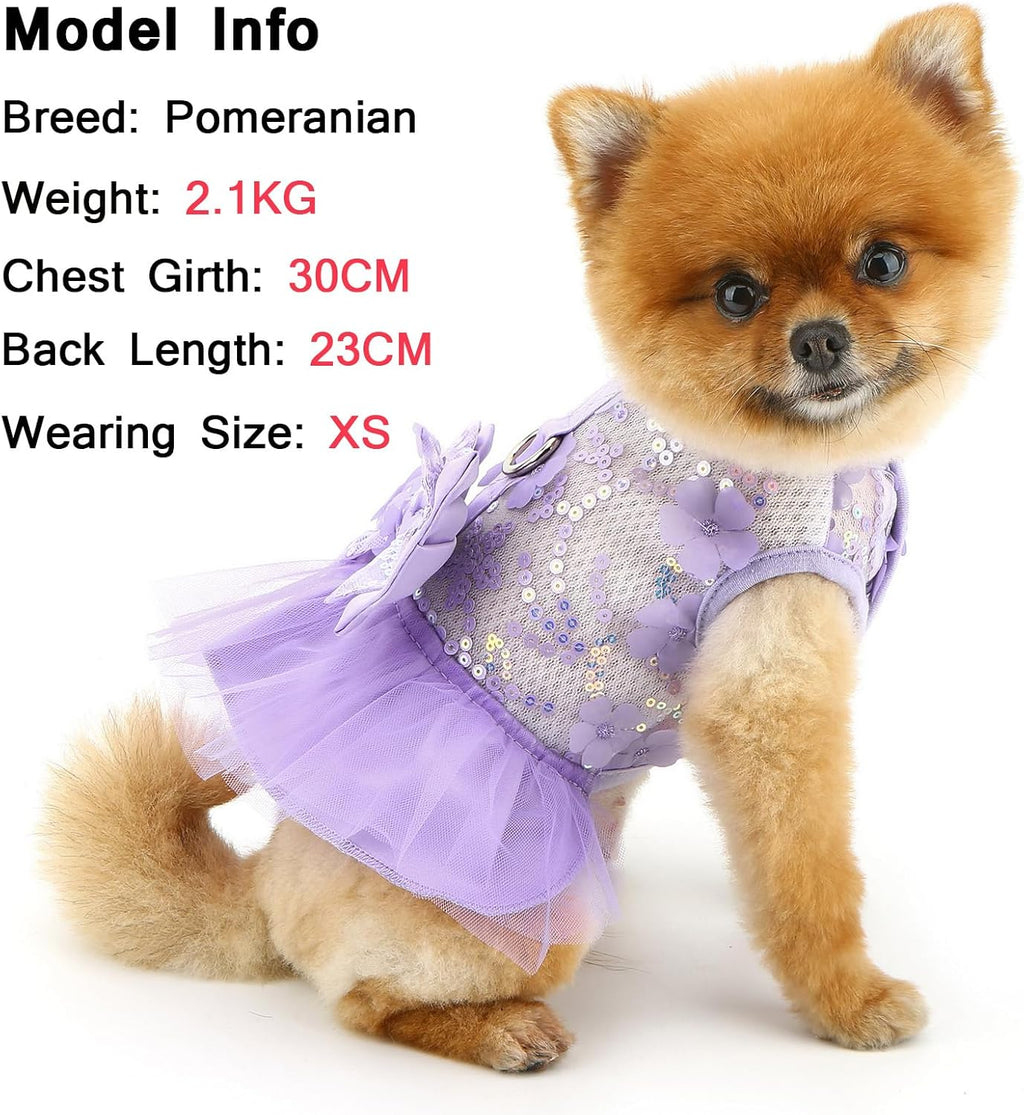 Vestitino Floreale con Fiocco