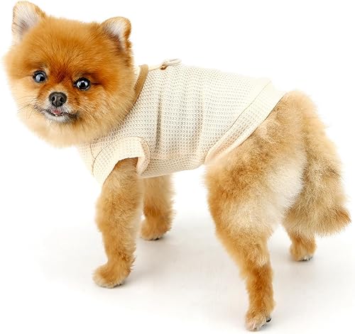 Maglioncino Orsetto Con Gancio per il Collare