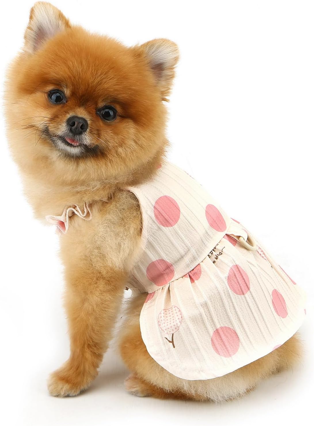 Vestitino Pois Estivo per Cani