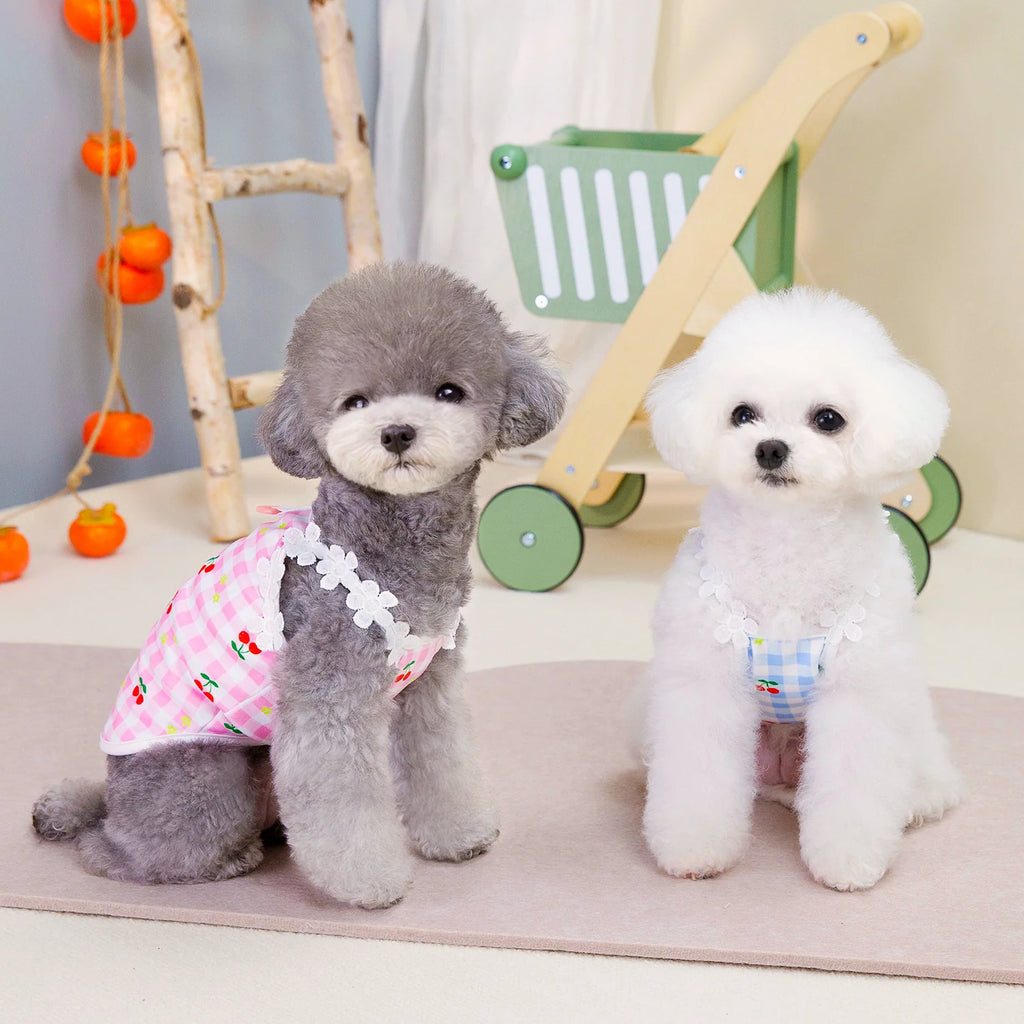 Vestitino a Quadri con Fragoline