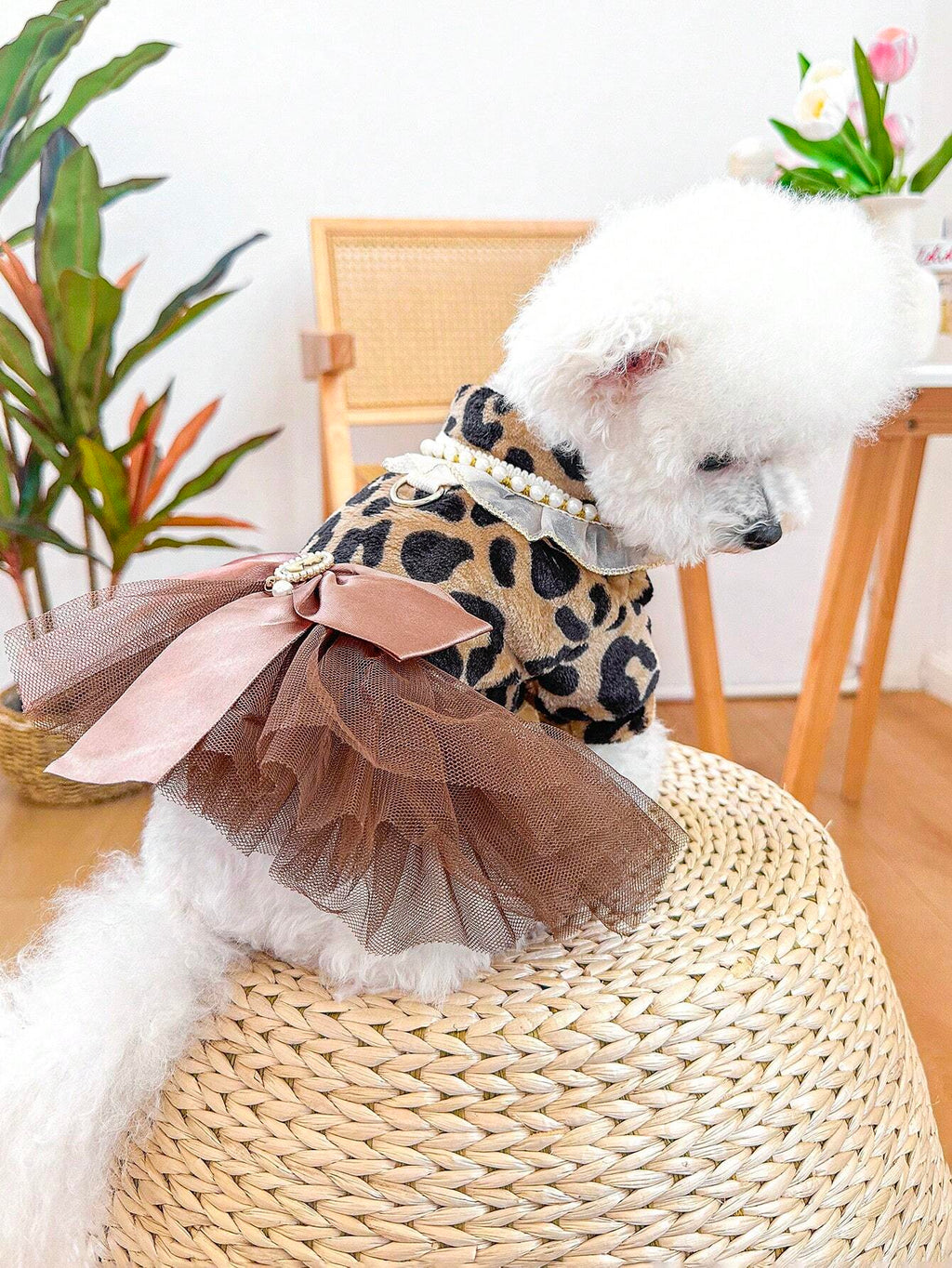 Abito Leopardato con Fiocco