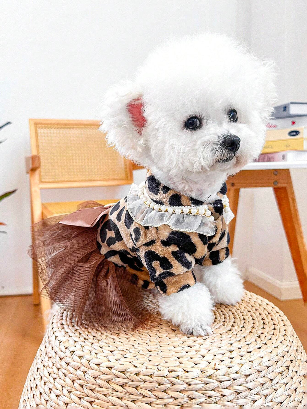 Abito Leopardato con Fiocco